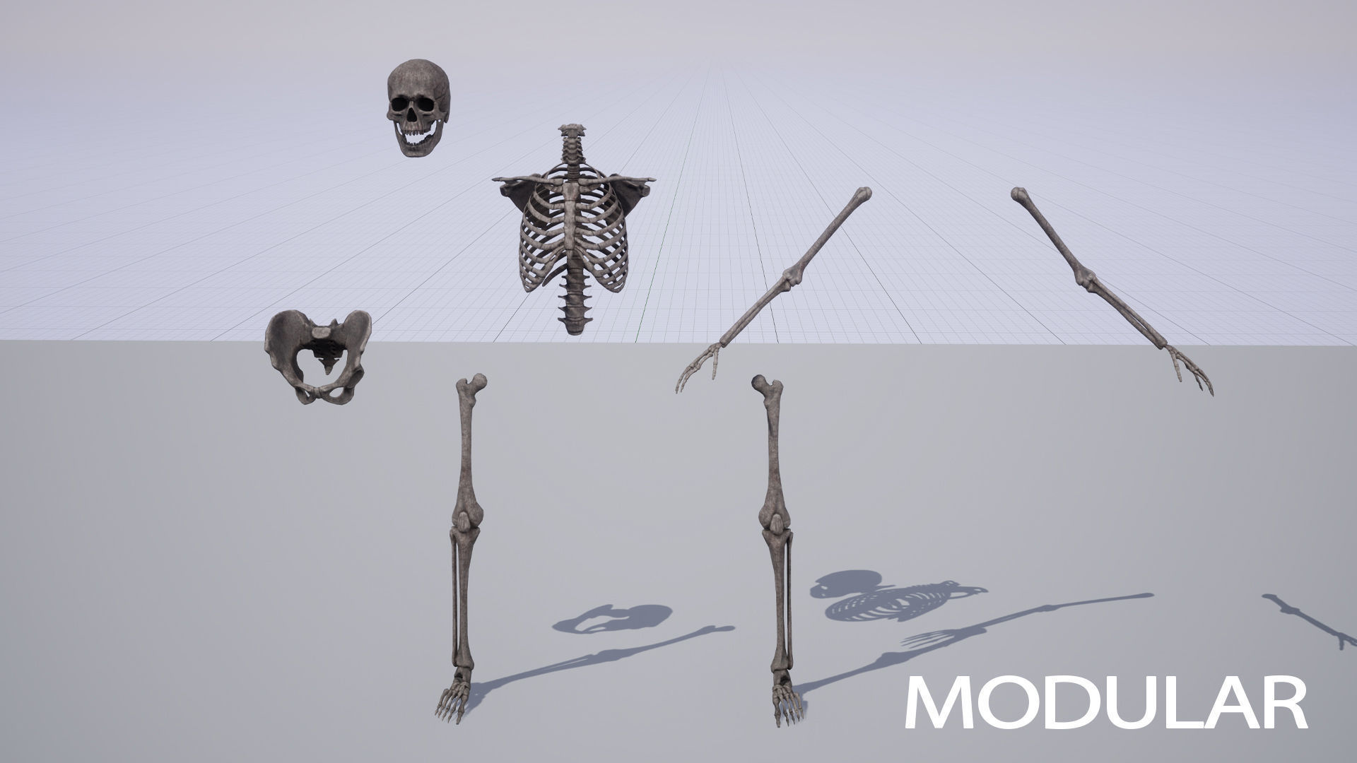 Skeleton Warrior - Game Ready Low-poly 3D model_18