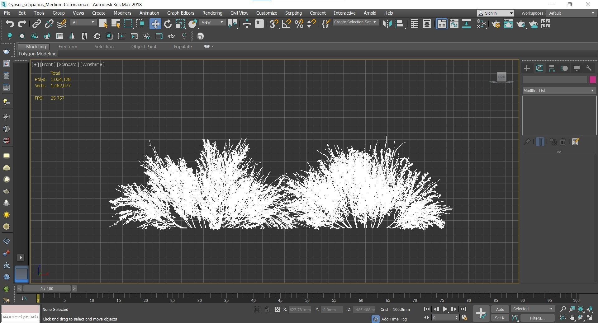 New Plant High detail Cytisus scoparius Medium 3D model_4