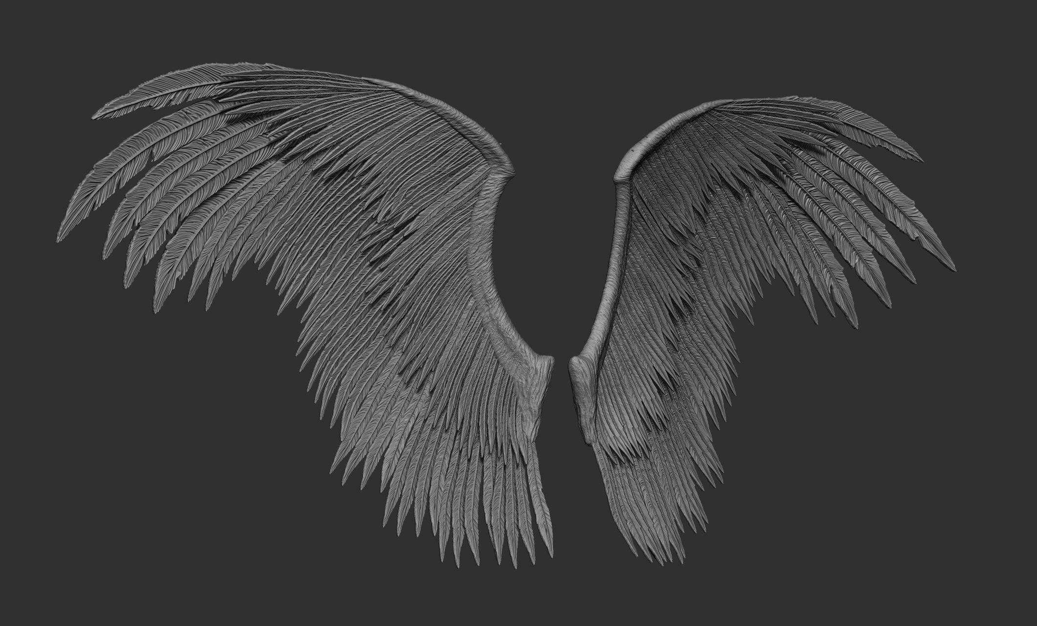 10 Wings 3D model_65