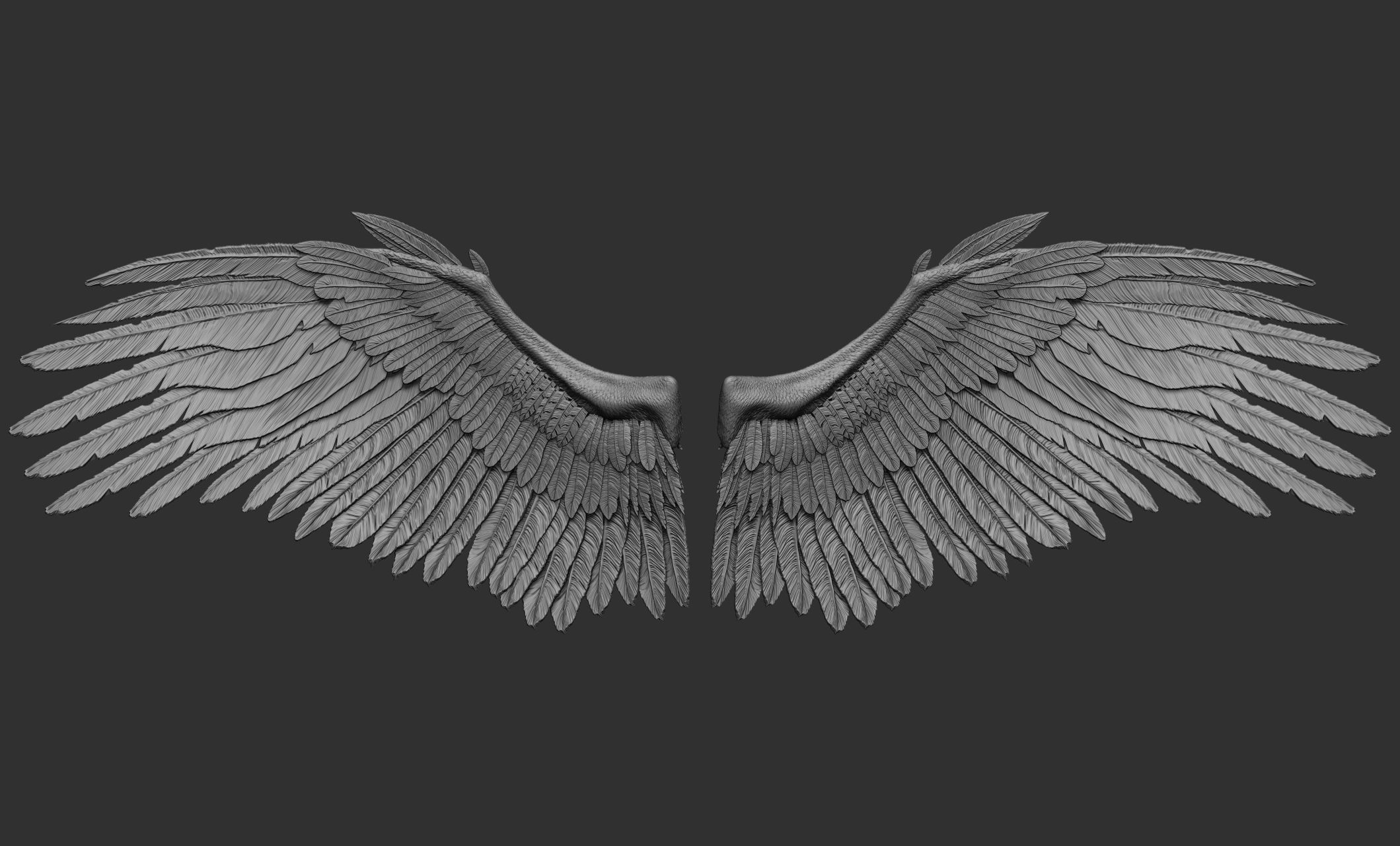 10 Wings 3D model_7