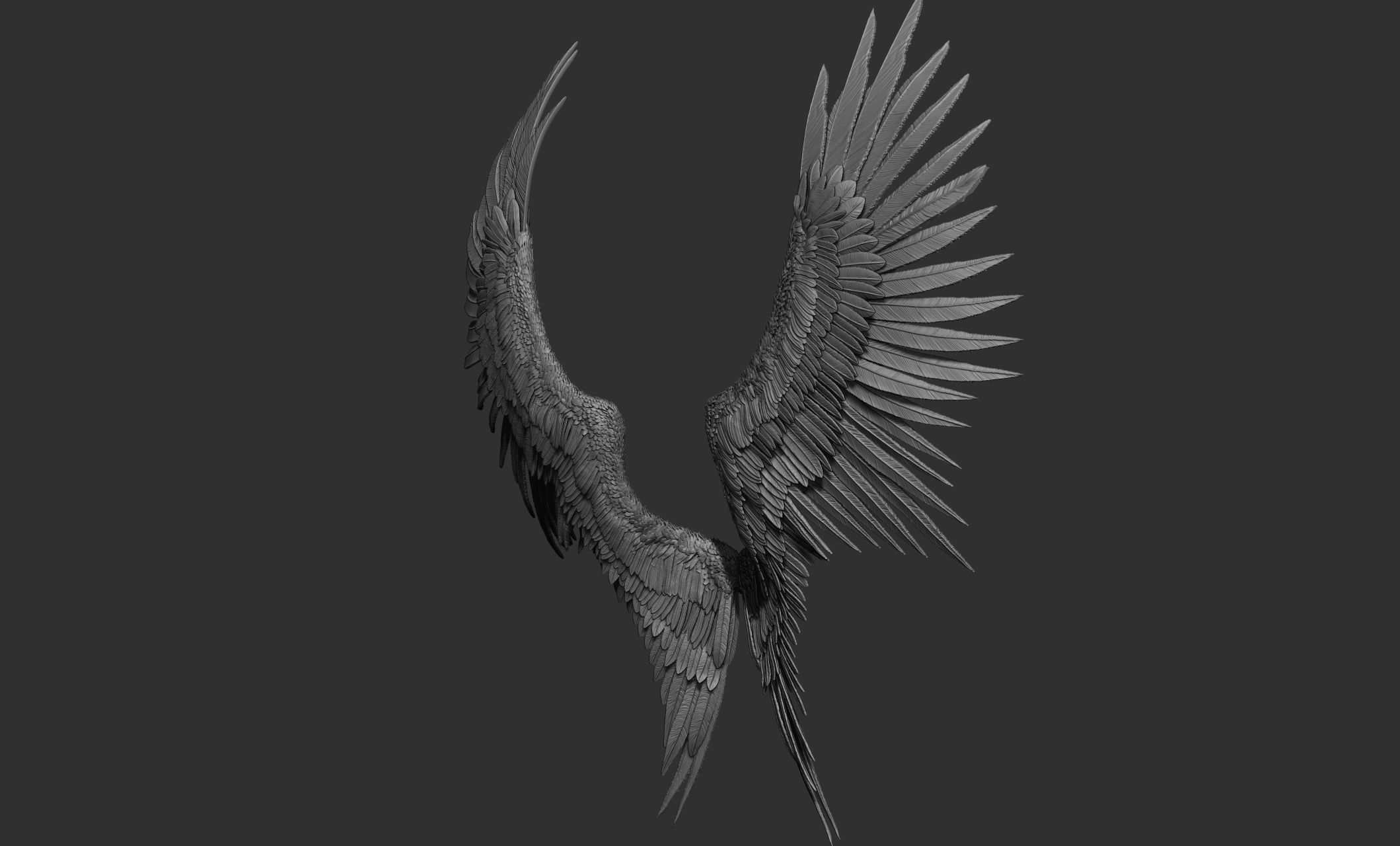 10 Wings 3D model_31