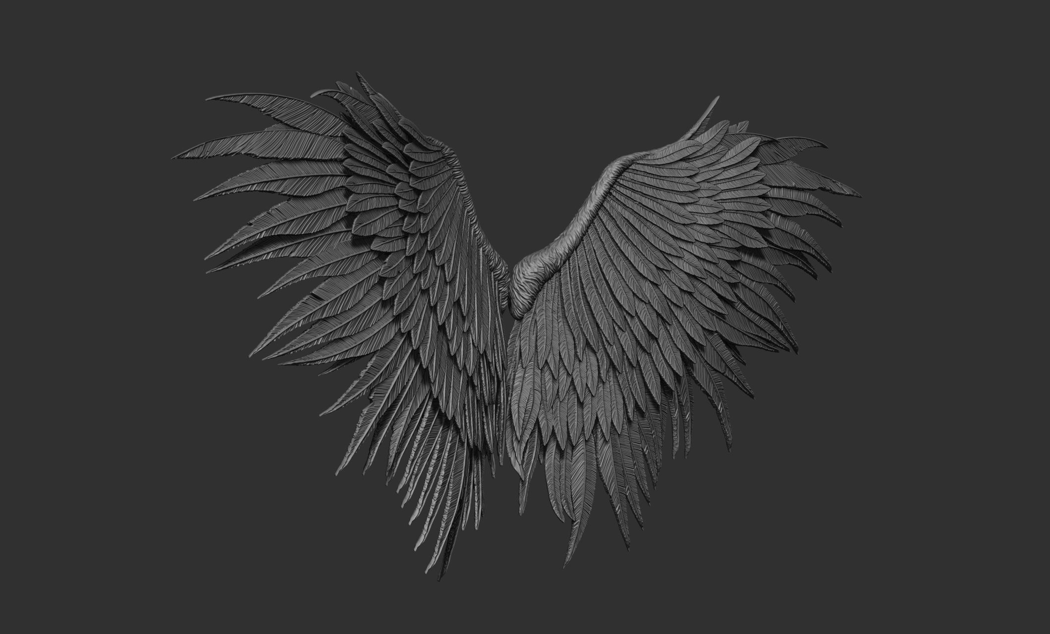 10 Wings 3D model_55