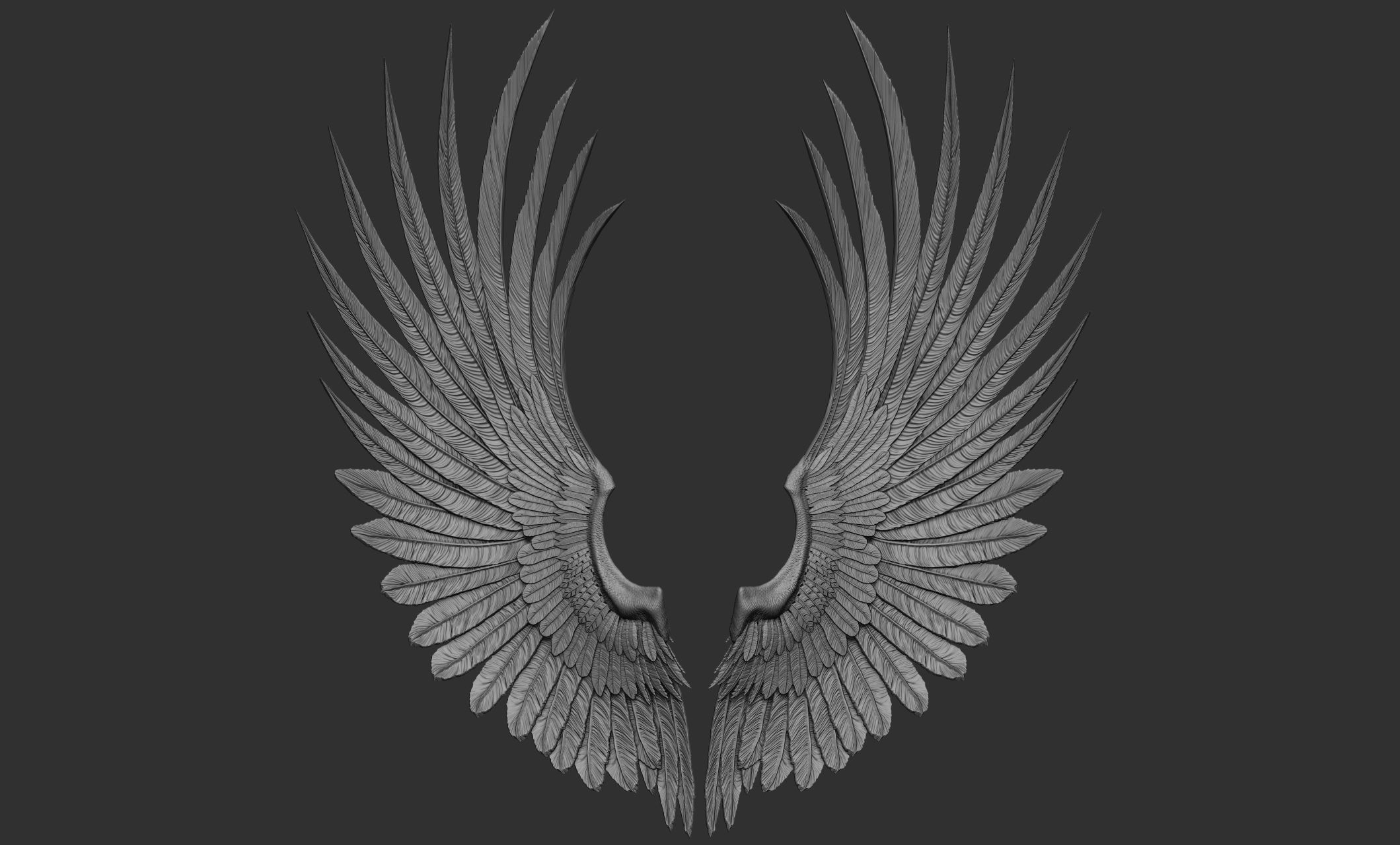 10 Wings 3D model_46