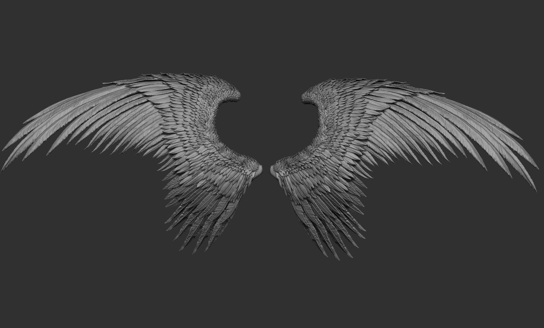 10 Wings 3D model_19