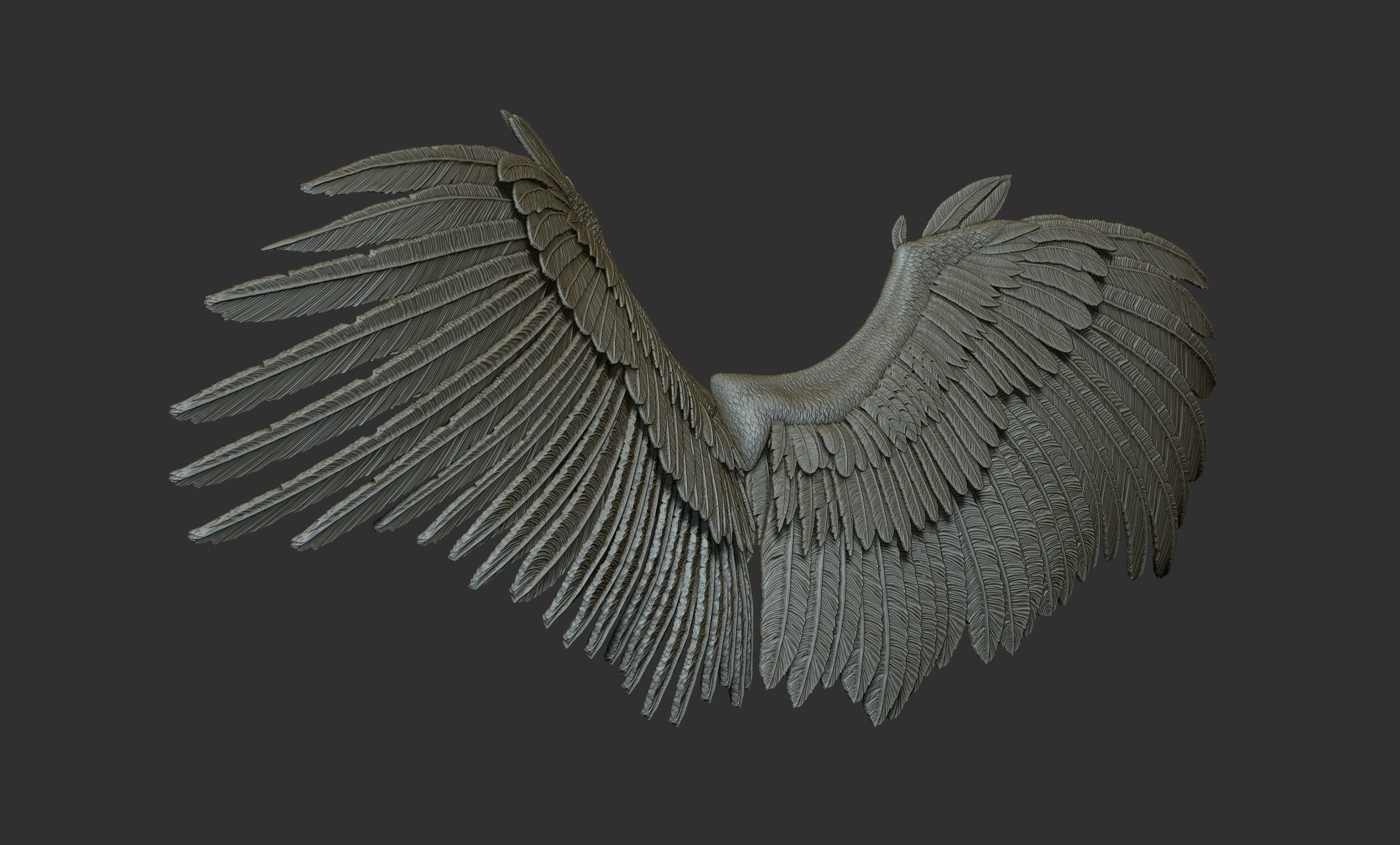 10 Wings 3D model_11