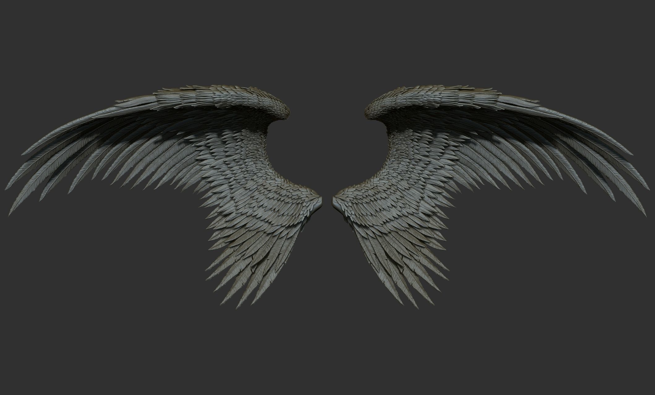10 Wings 3D model_16