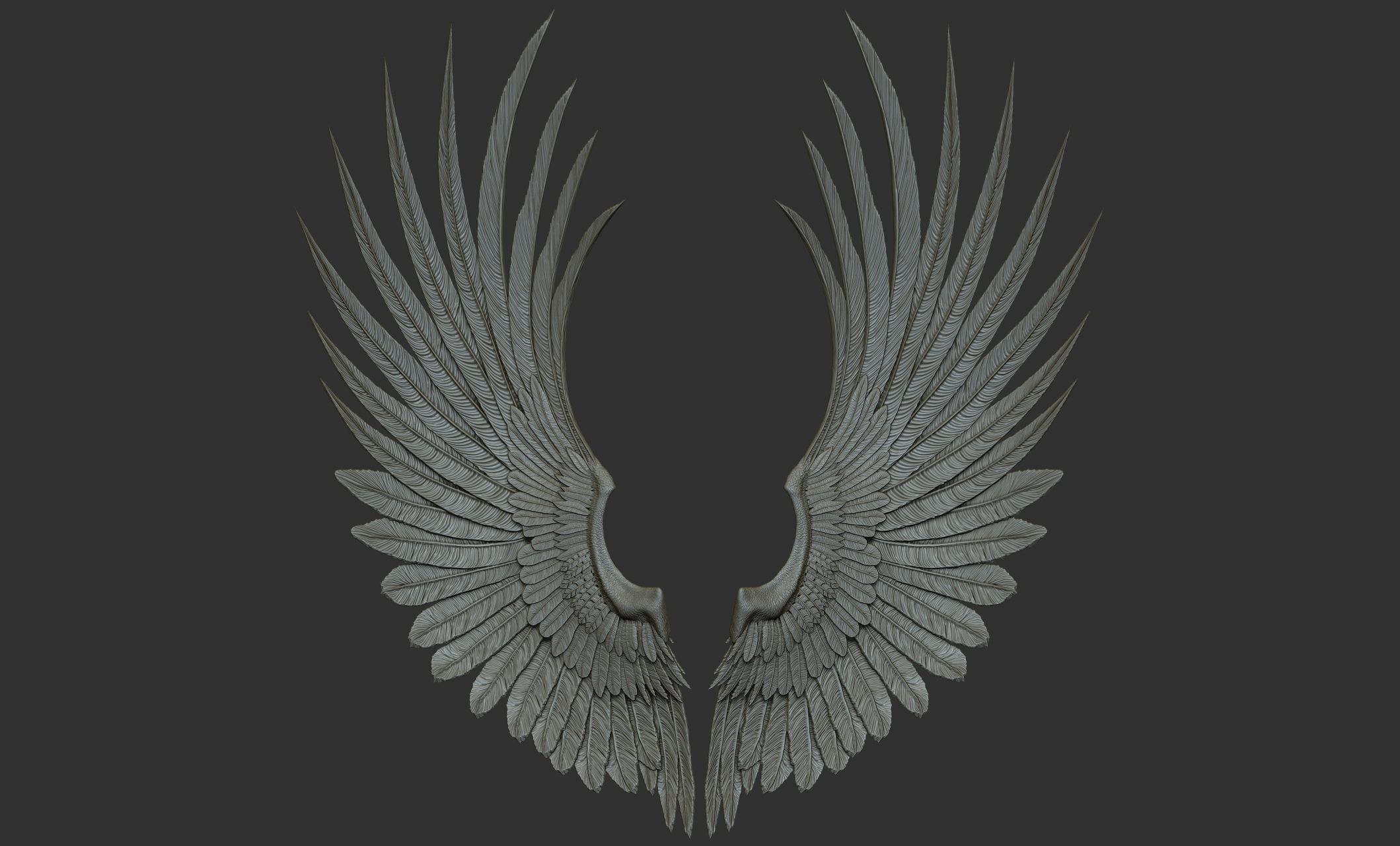 10 Wings 3D model_45