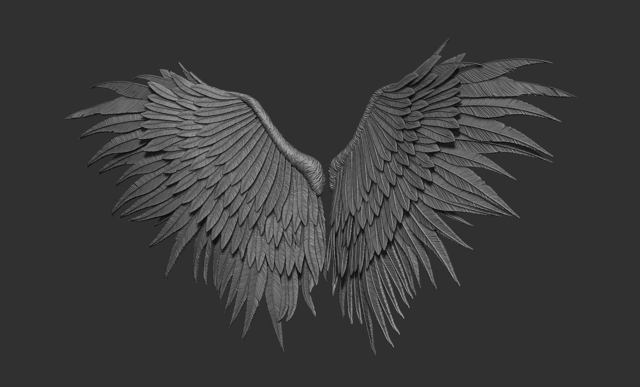 10 Wings 3D model_57