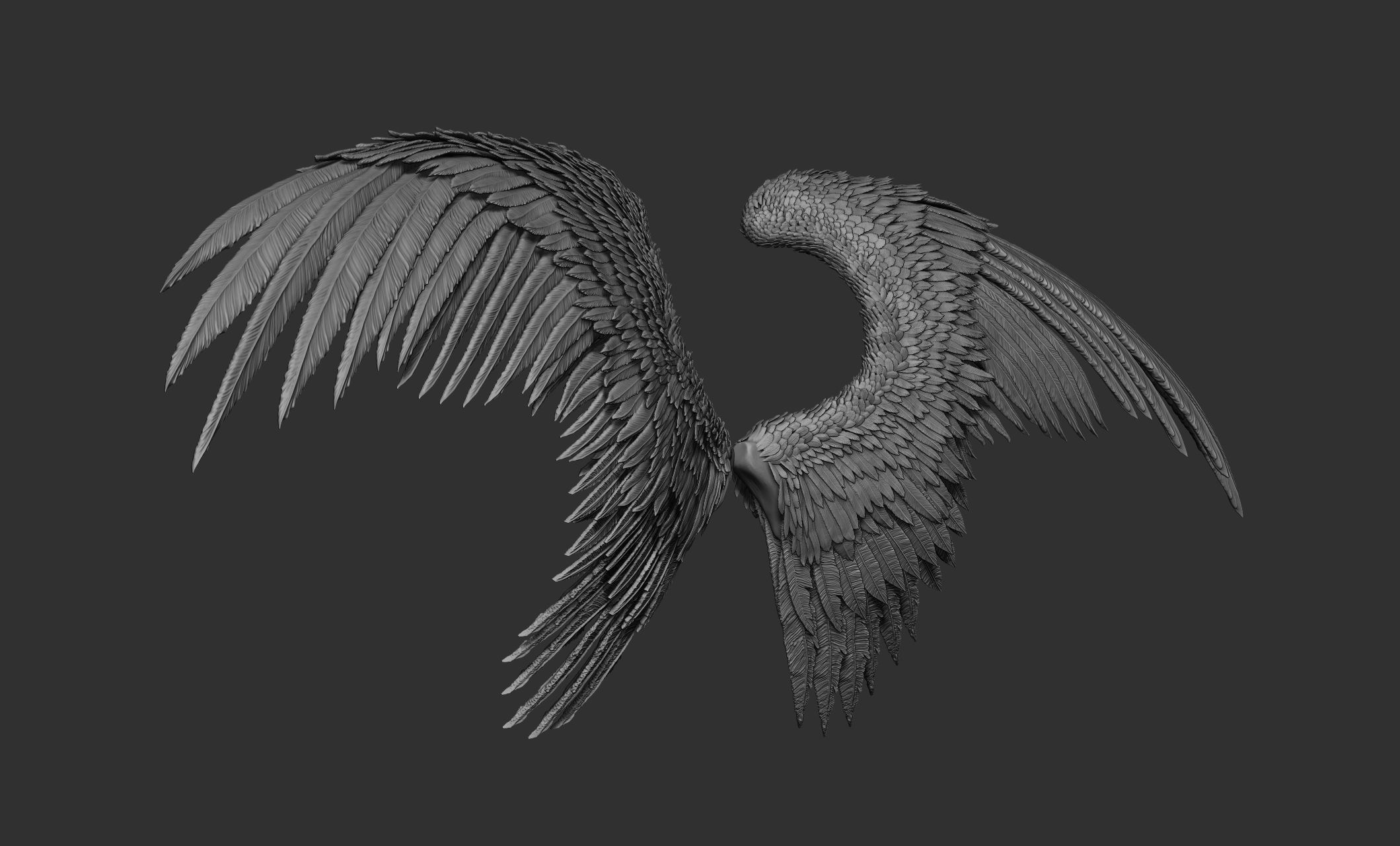 10 Wings 3D model_18