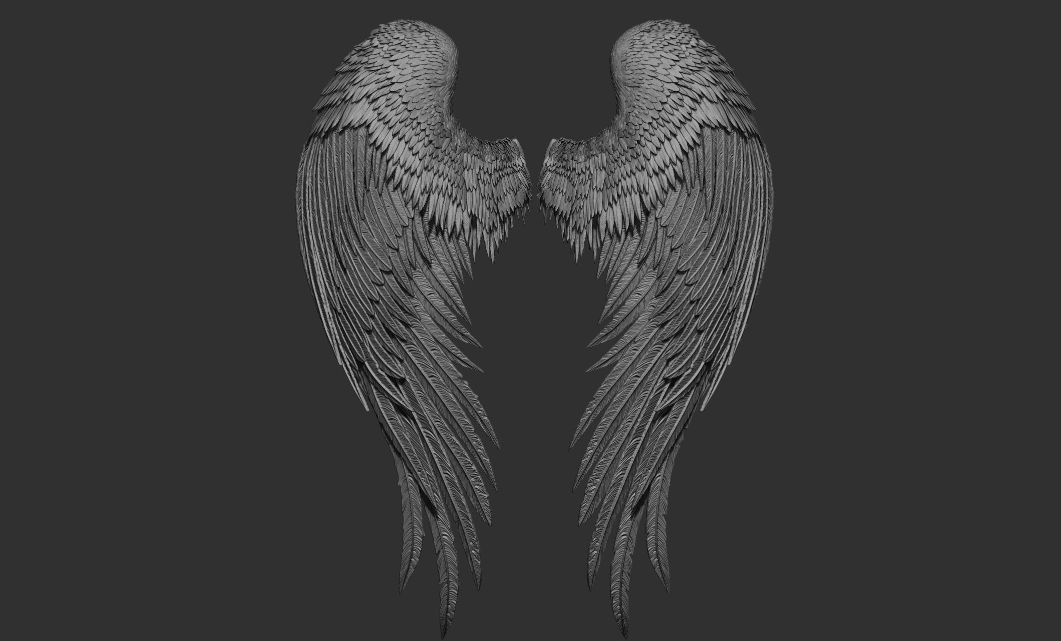 10 Wings 3D model_37
