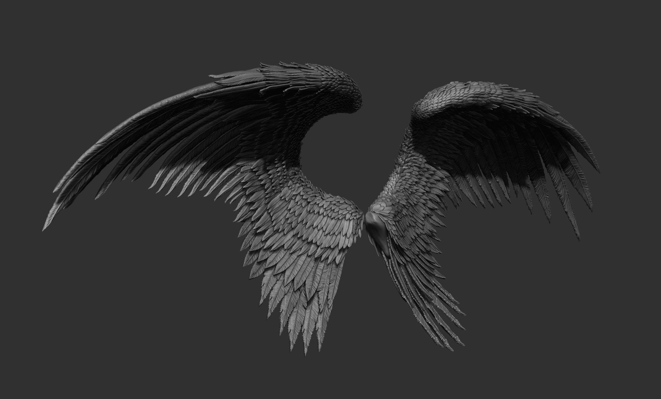 10 Wings 3D model_20