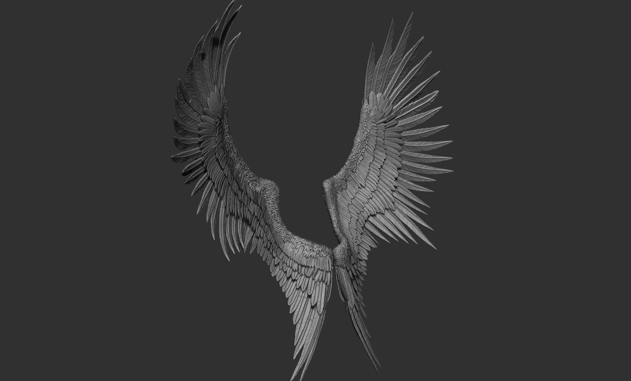 10 Wings 3D model_32