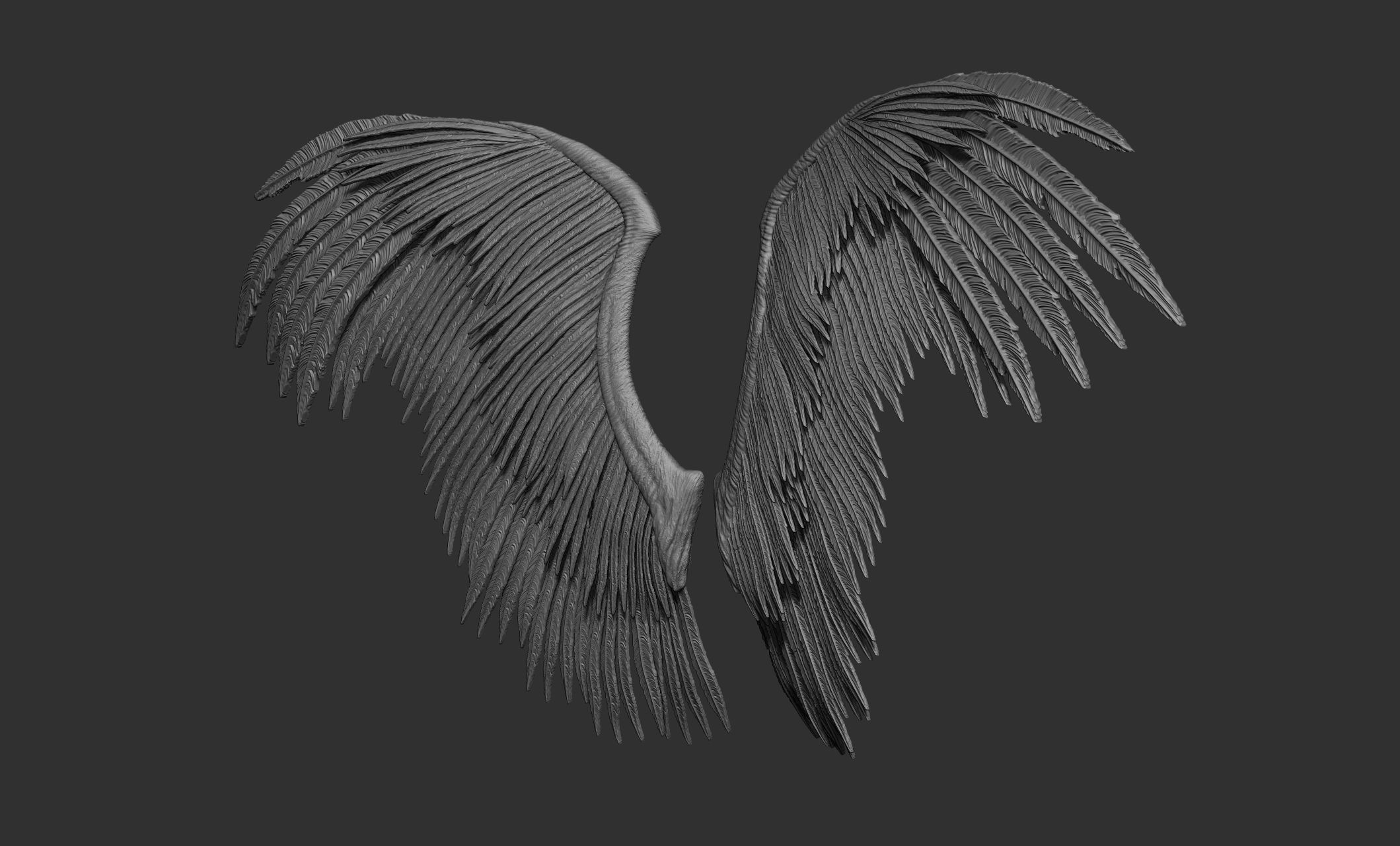 10 Wings 3D model_64