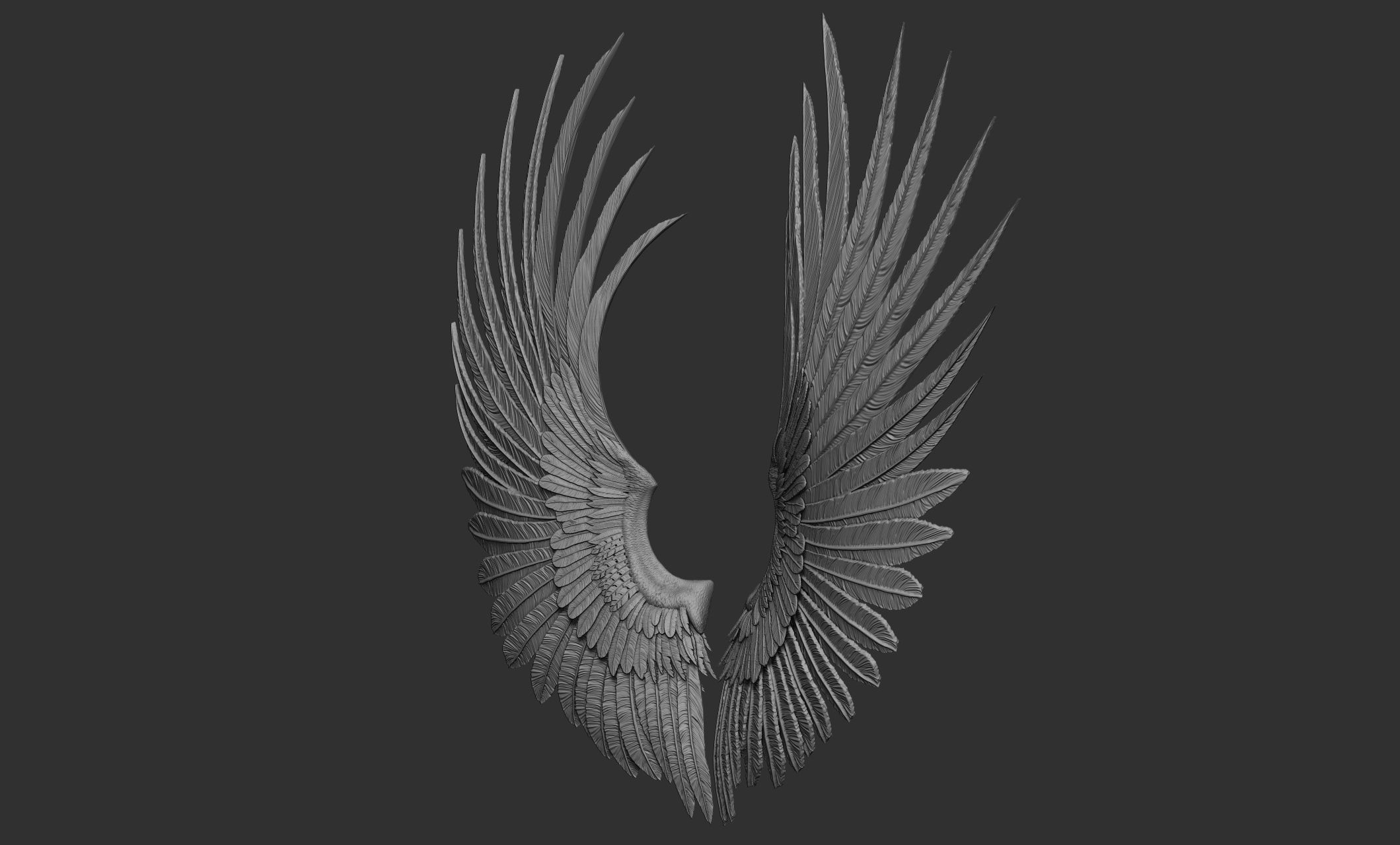 10 Wings 3D model_50