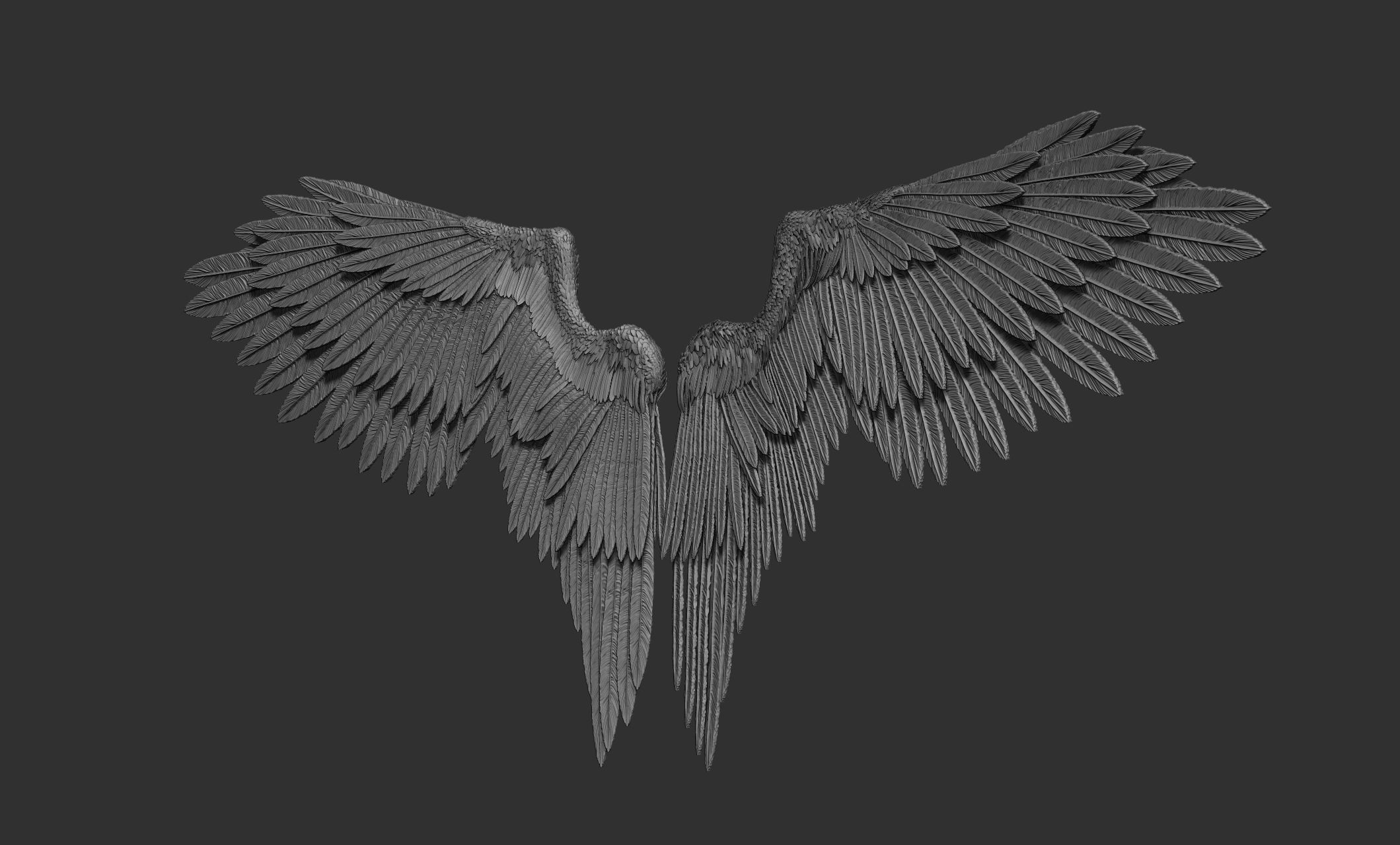 10 Wings 3D model_23