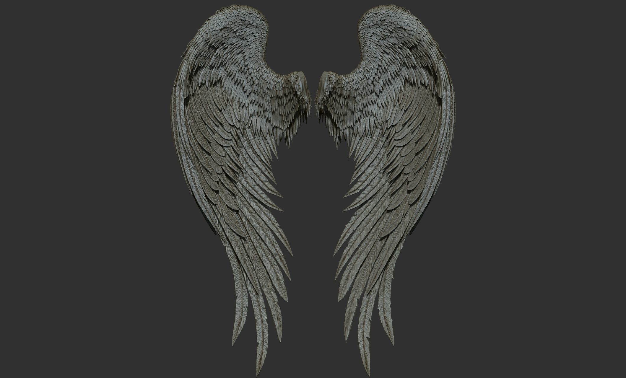 10 Wings 3D model_33