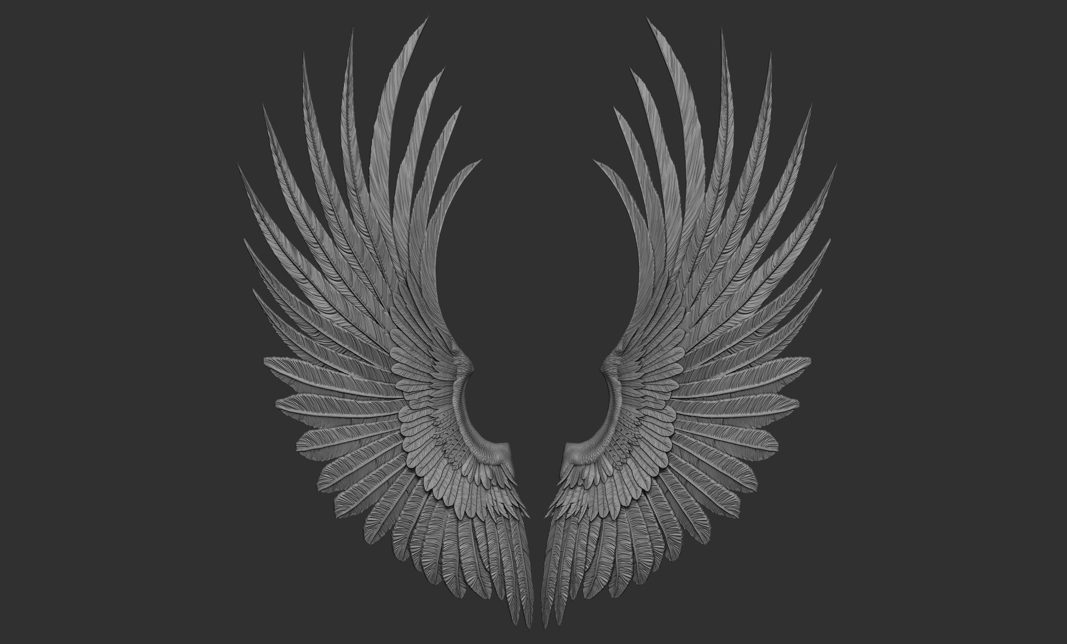 10 Wings 3D model_49