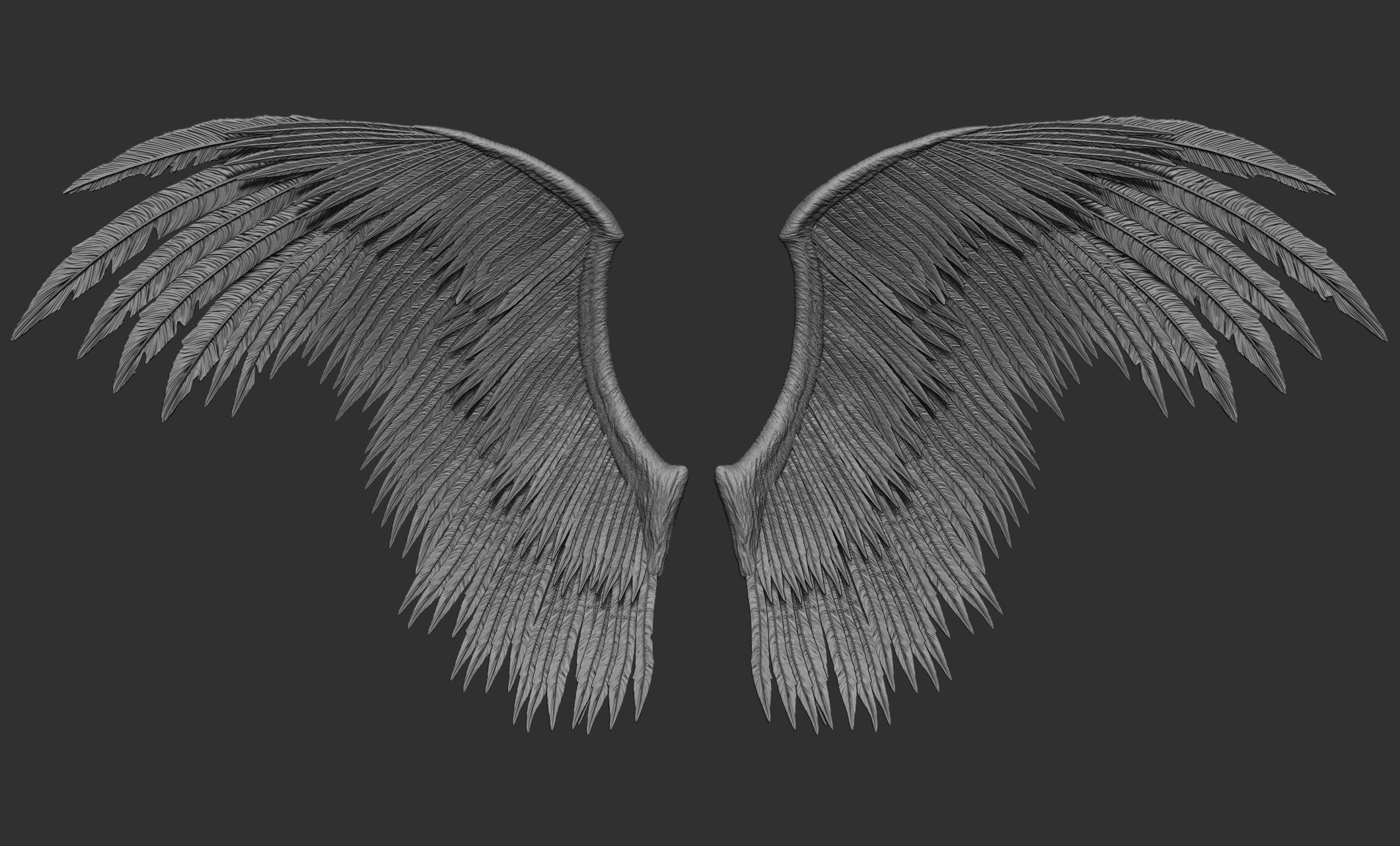 10 Wings 3D model_60