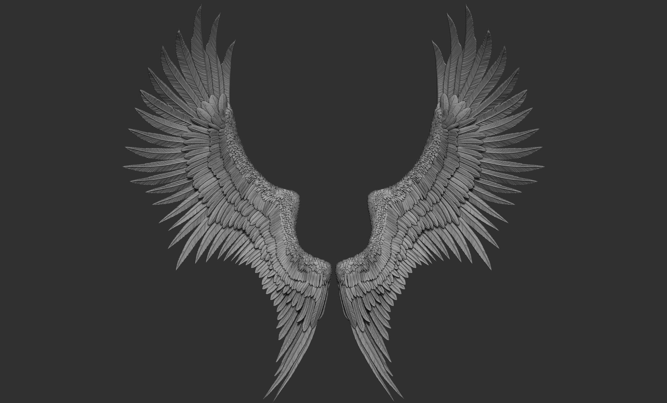 10 Wings 3D model_26