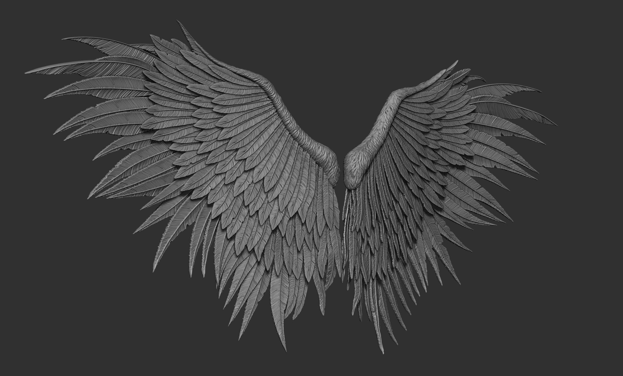 10 Wings 3D model_58
