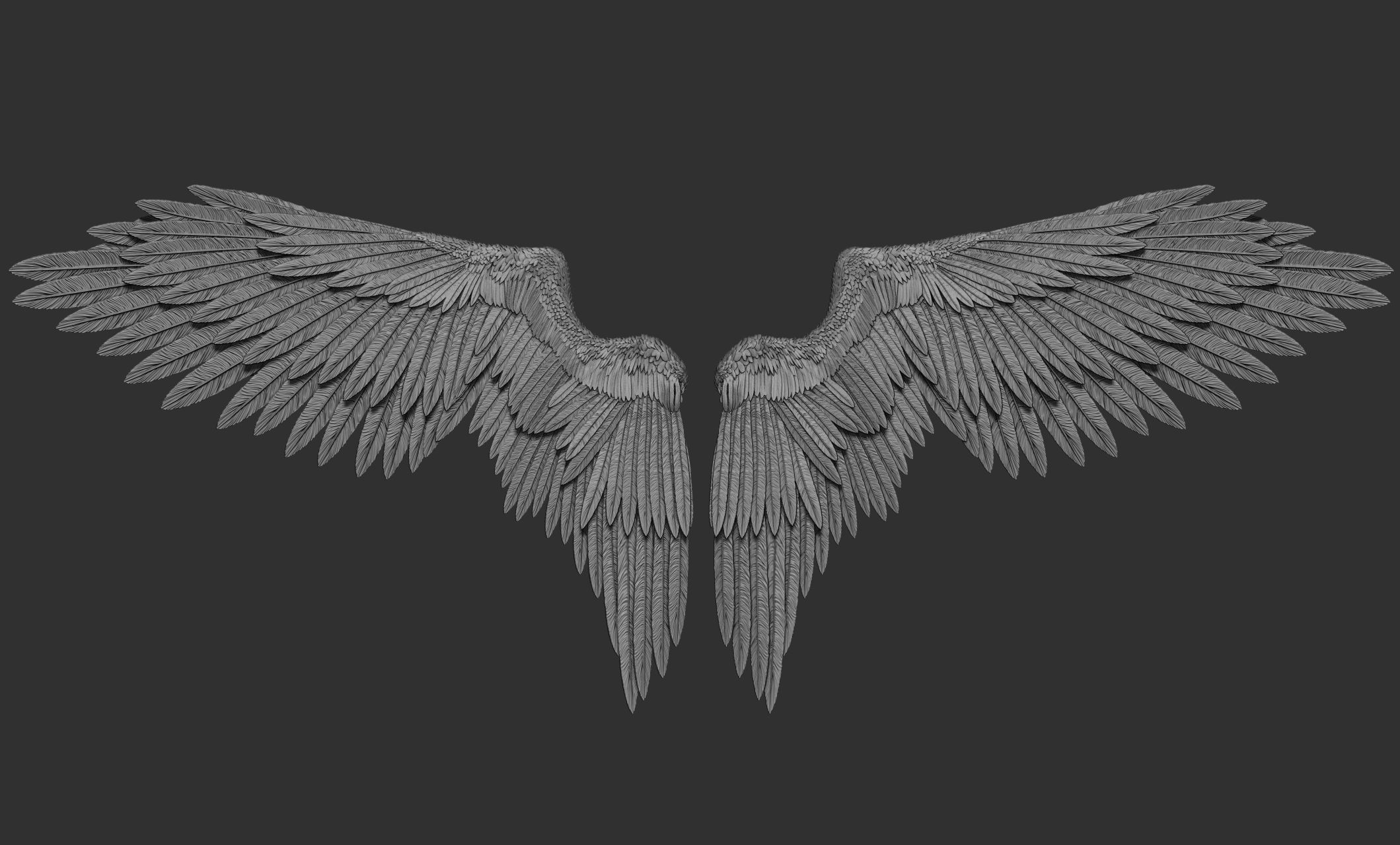 10 Wings 3D model_22