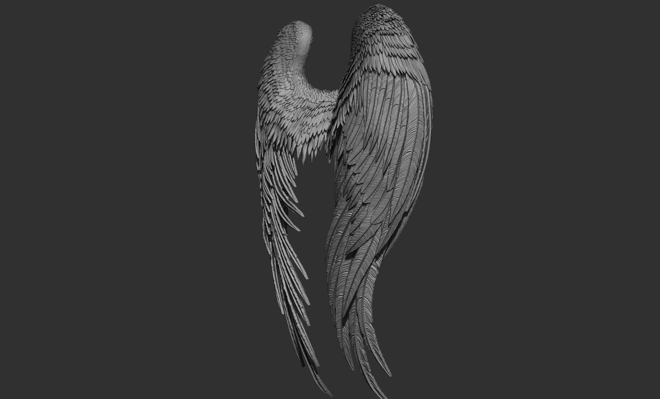 10 Wings 3D model_38