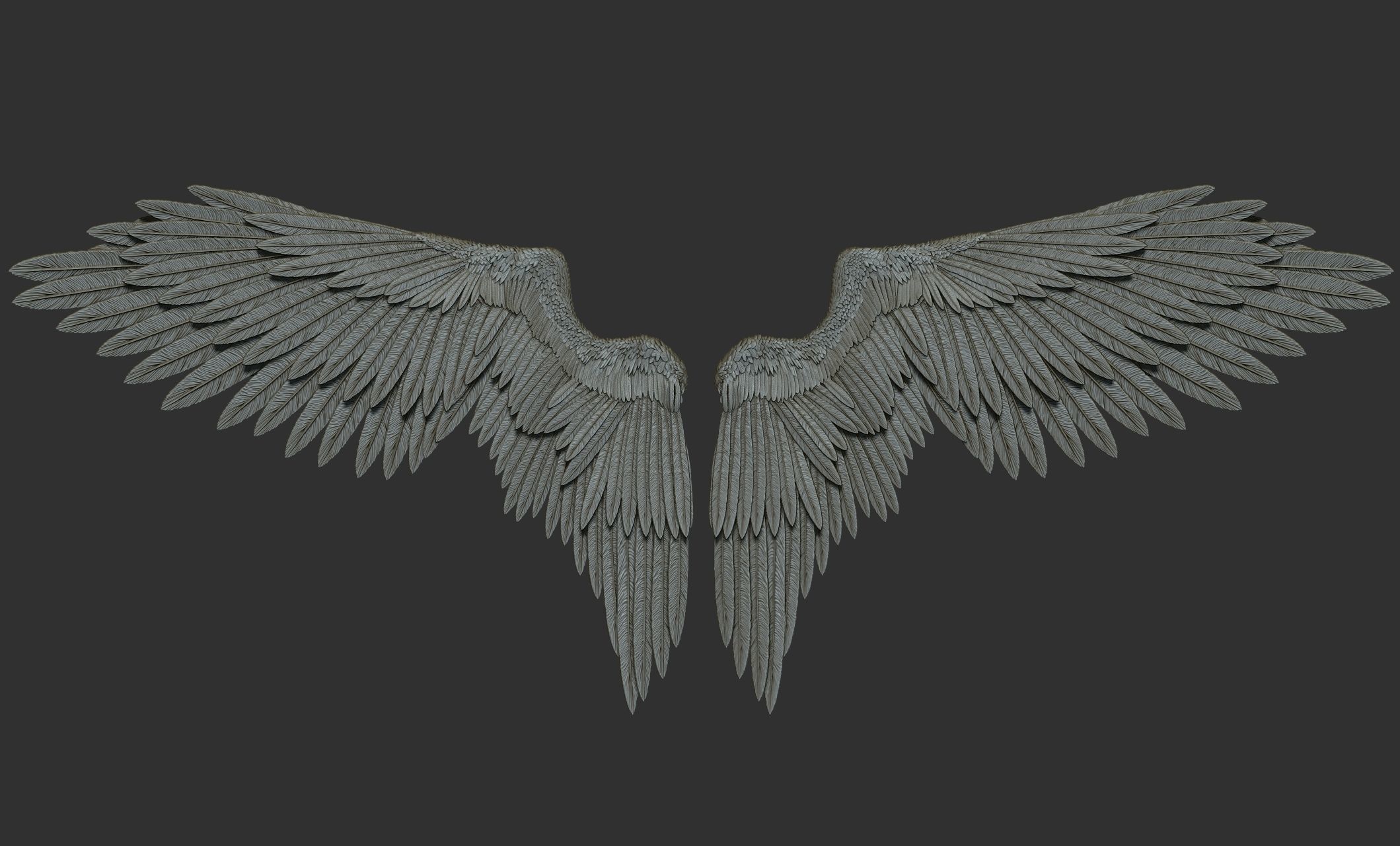 10 Wings 3D model_21
