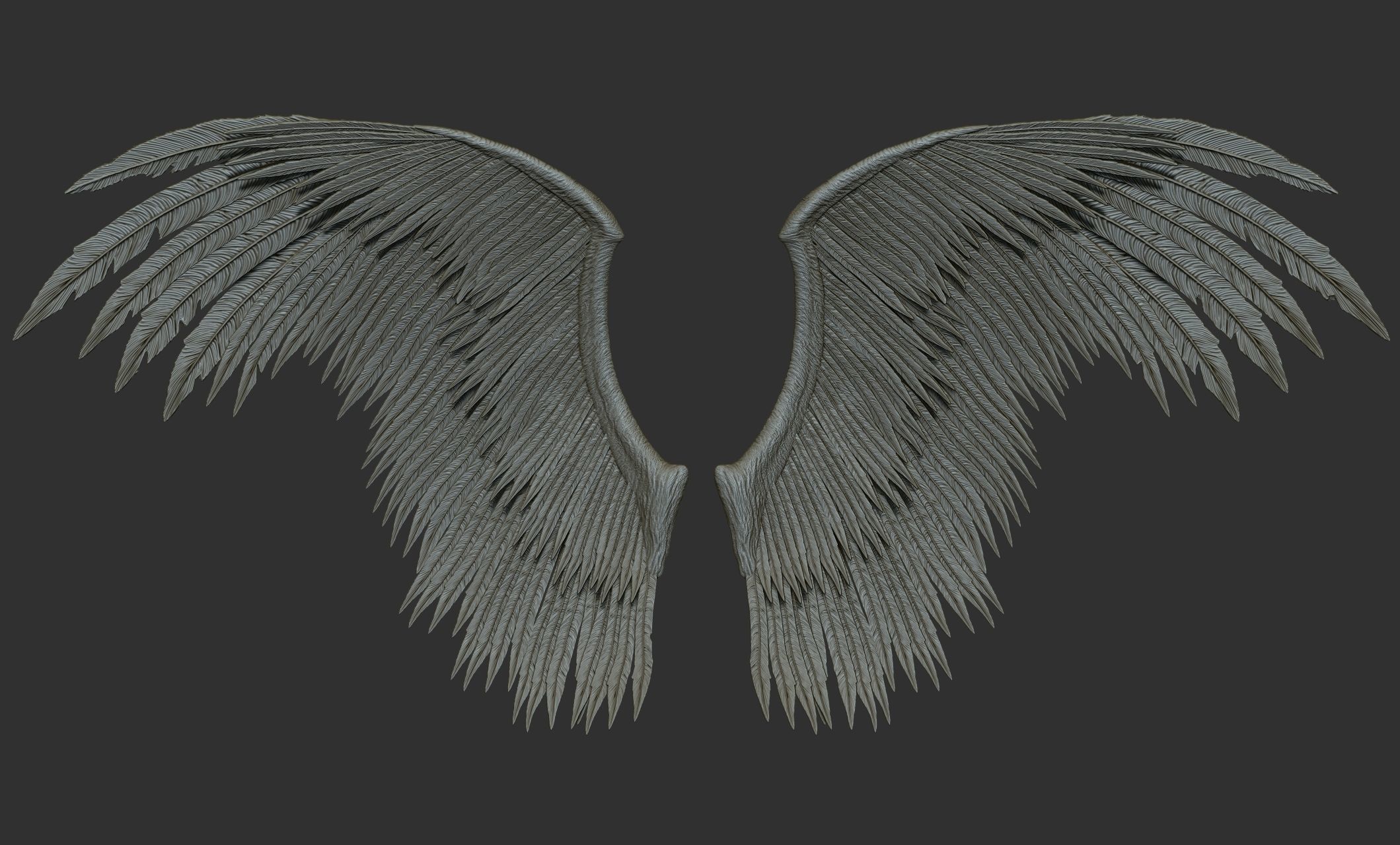 10 Wings 3D model_59