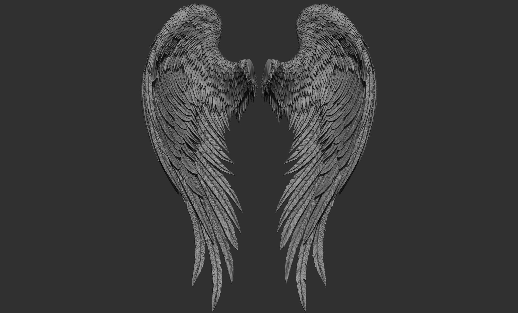 10 Wings 3D model_34