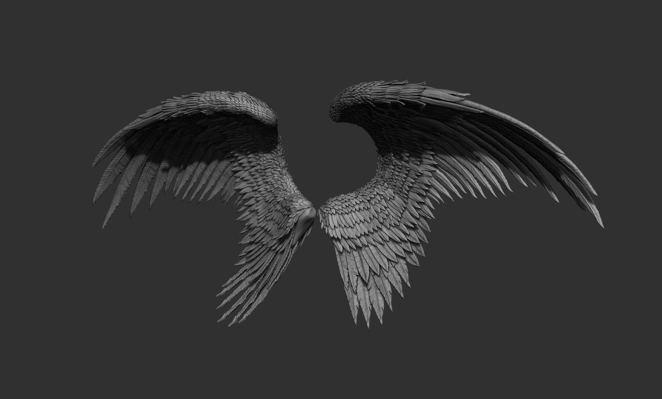 10 Wings 3D model_17
