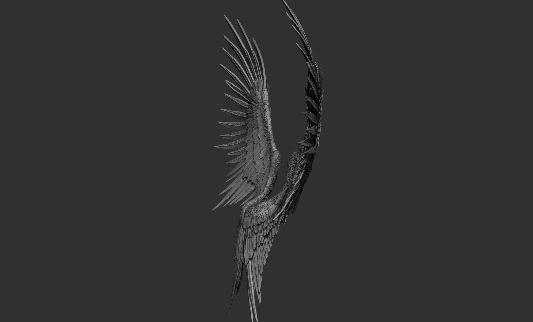 10 Wings 3D model_28