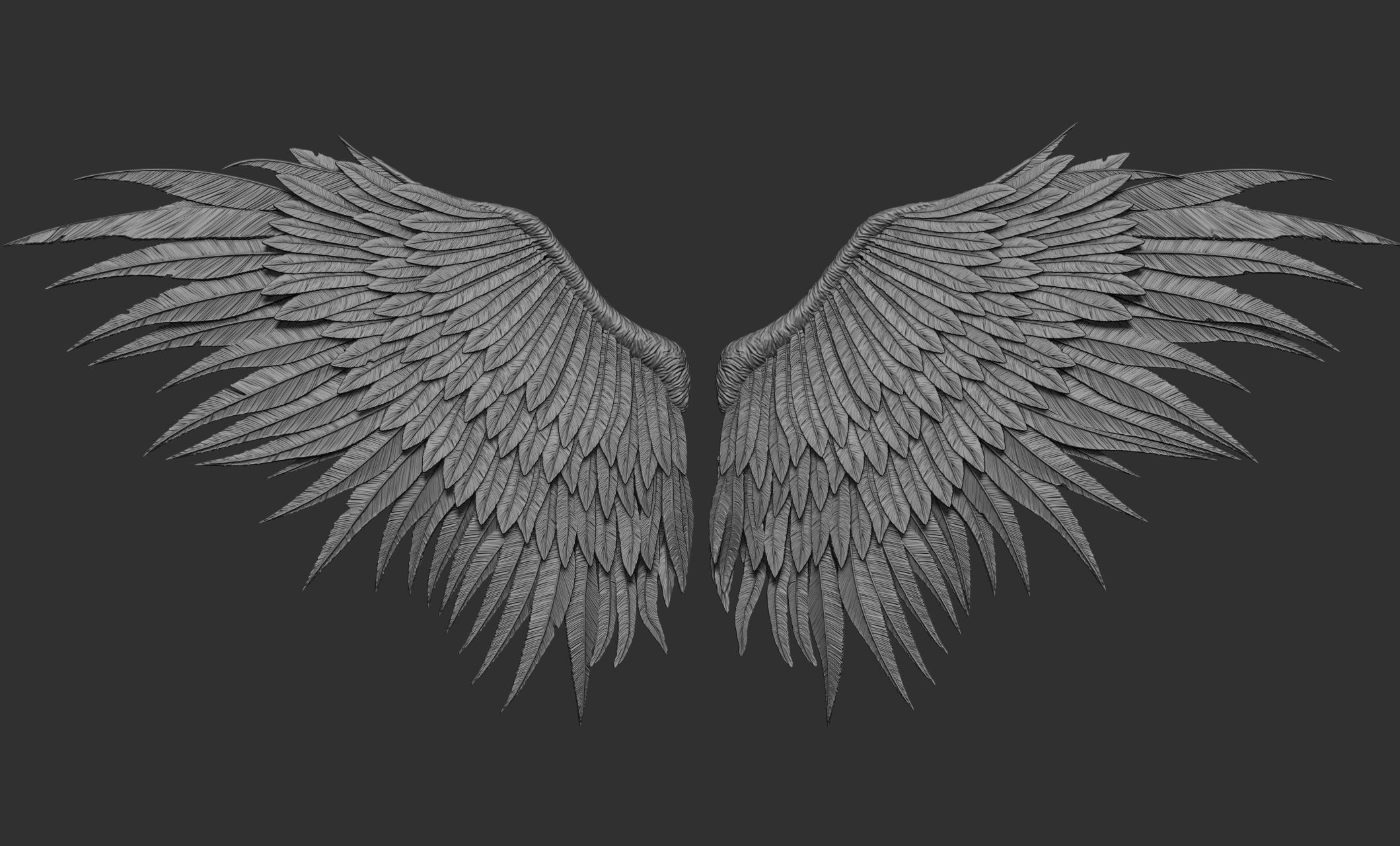 10 Wings 3D model_56