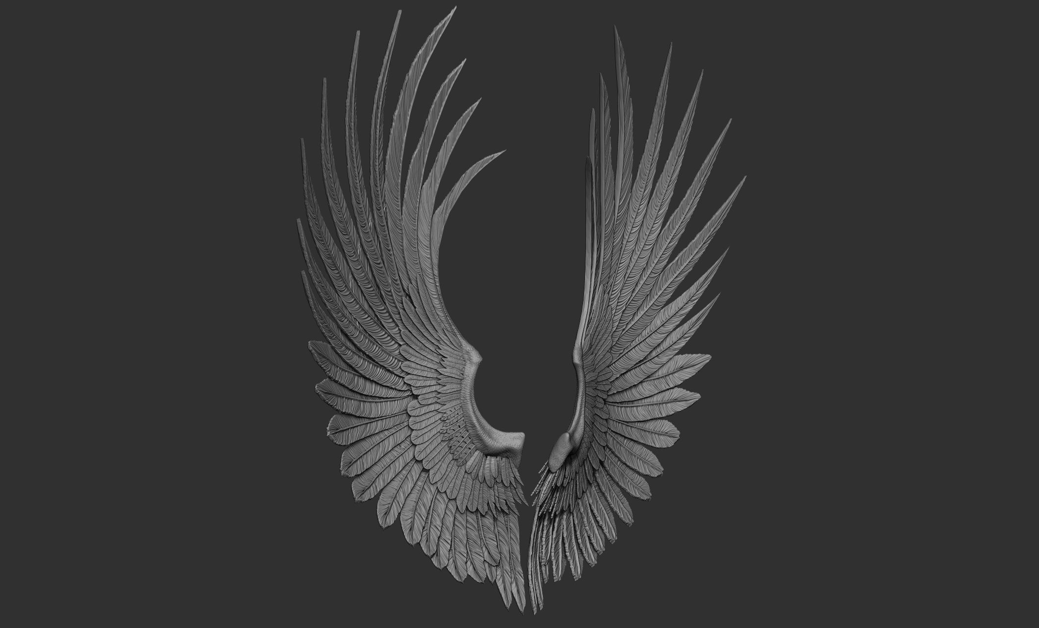 10 Wings 3D model_51