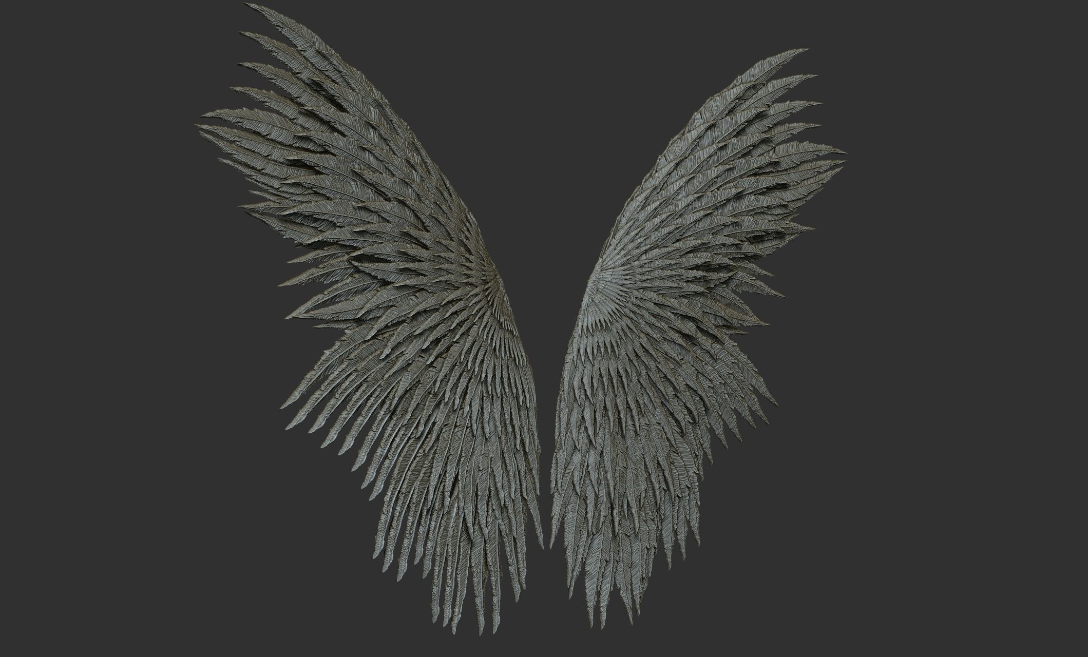 10 Wings 3D model_6