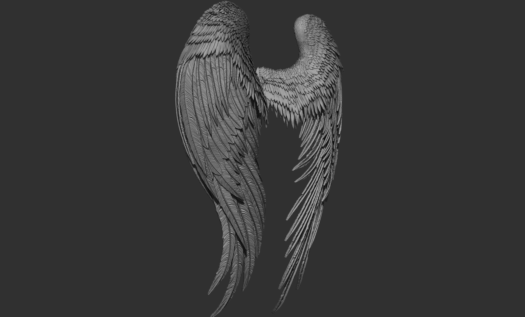 10 Wings 3D model_36