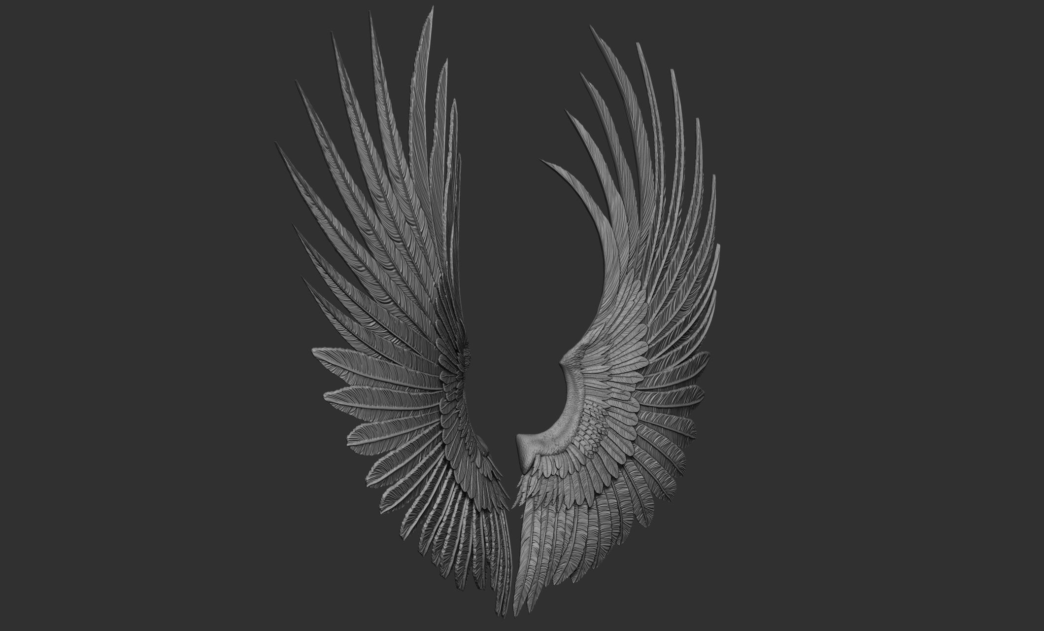 10 Wings 3D model_48