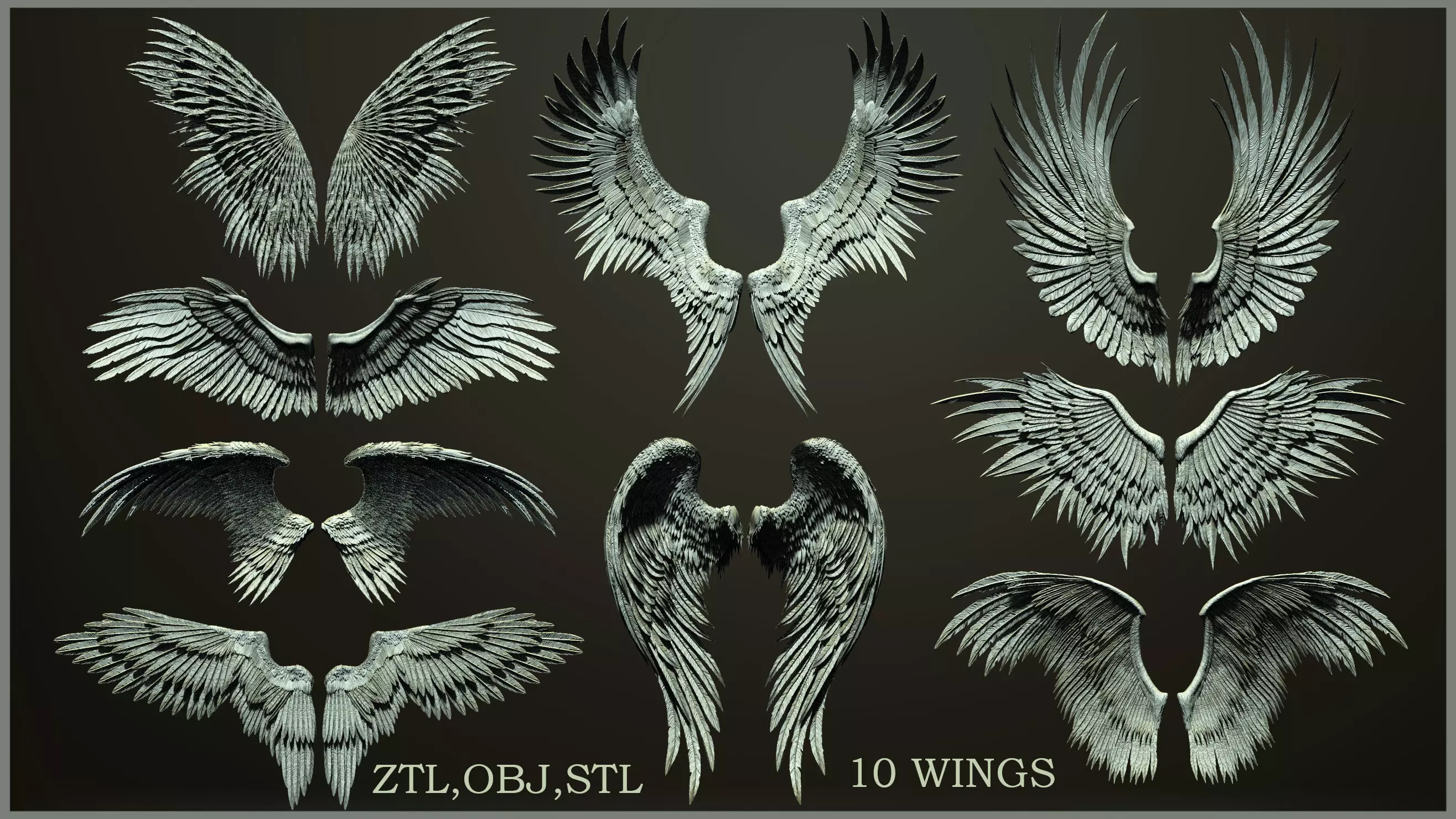 10 Wings 3D model_0