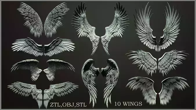 10 Wings 3D model