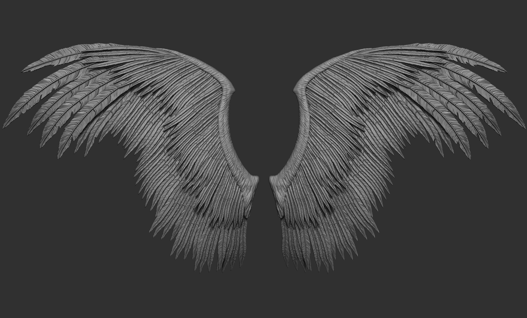 10 Wings 3D model_63