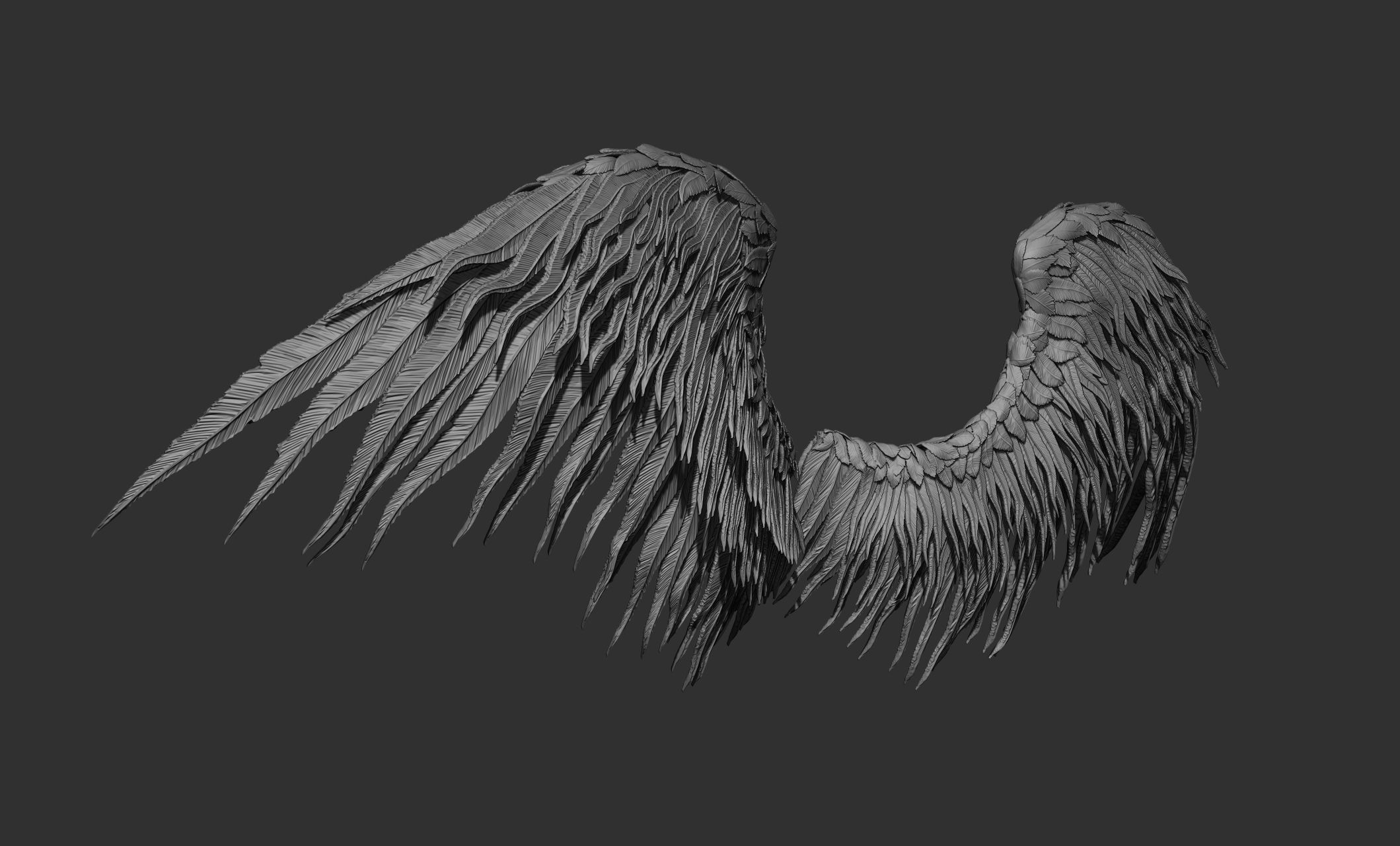 10 Wings 3D model_43