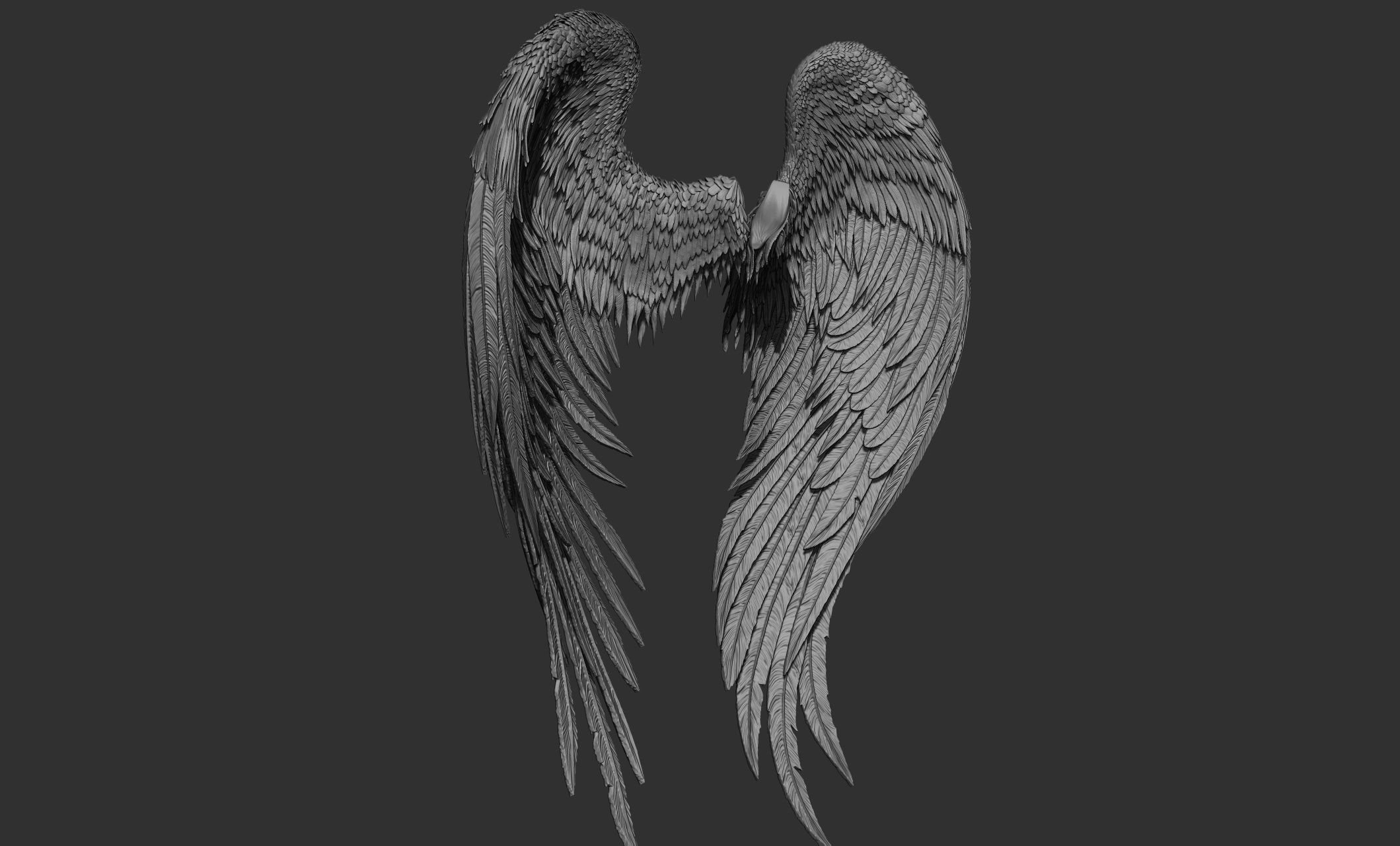 10 Wings 3D model_39