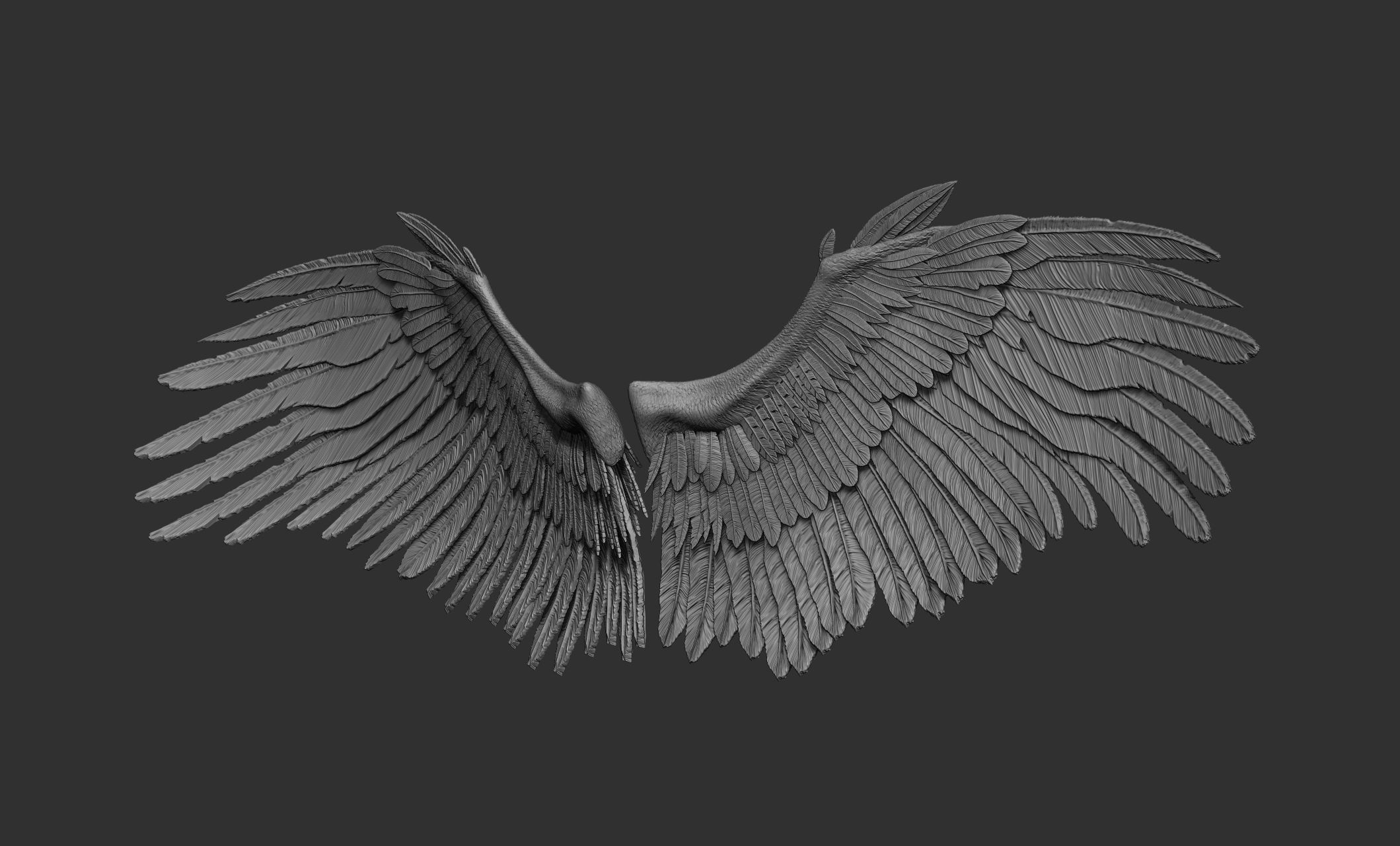 10 Wings 3D model_9