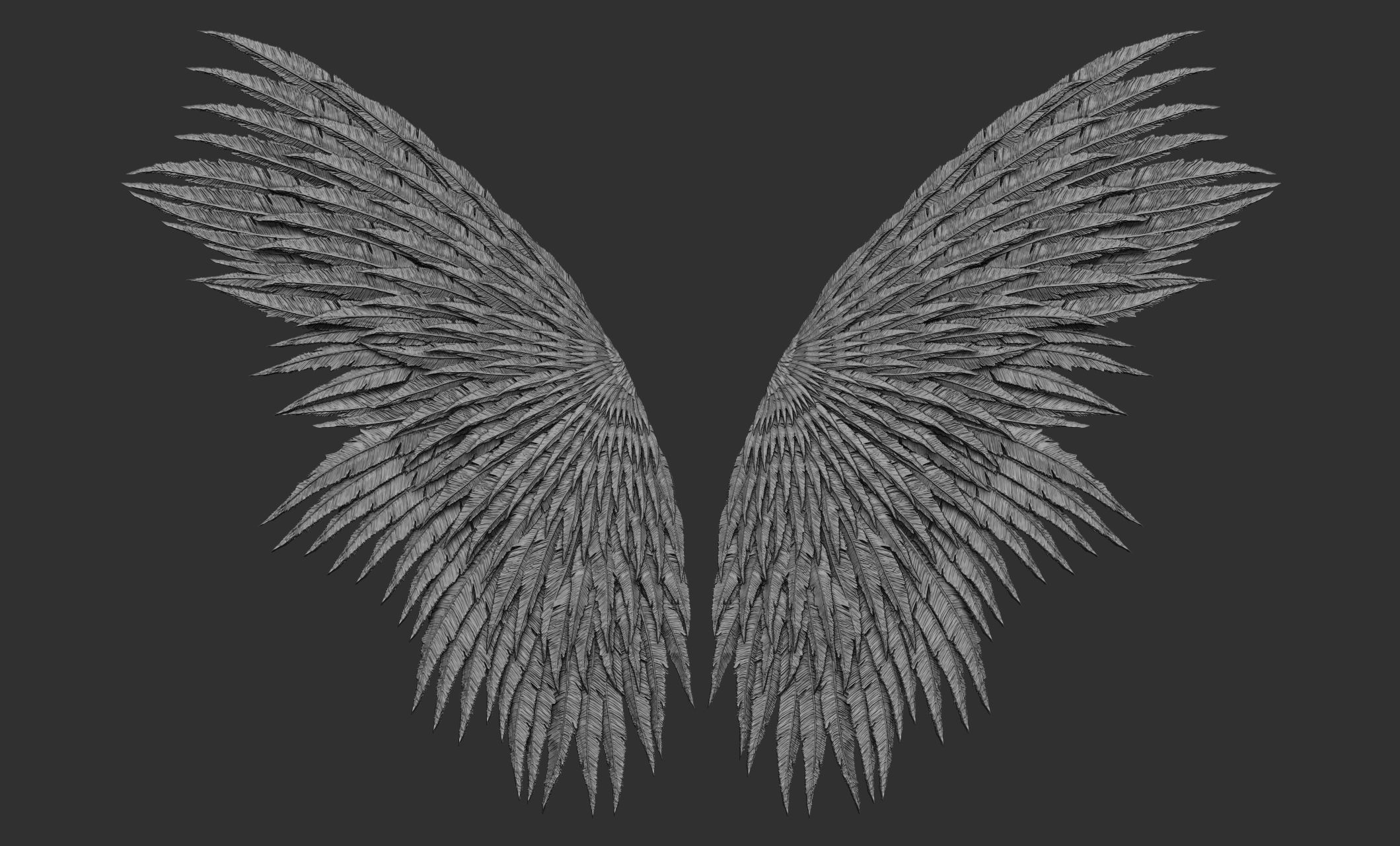 10 Wings 3D model_4