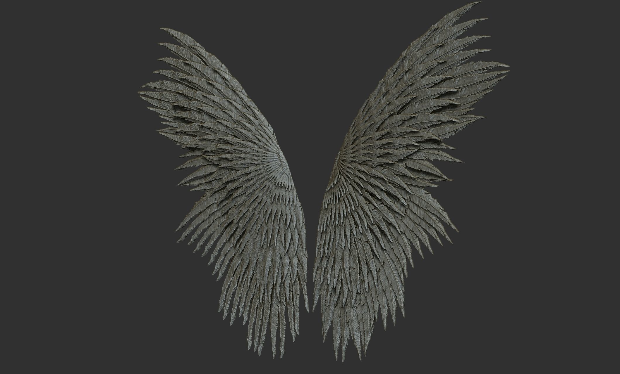 10 Wings 3D model_5