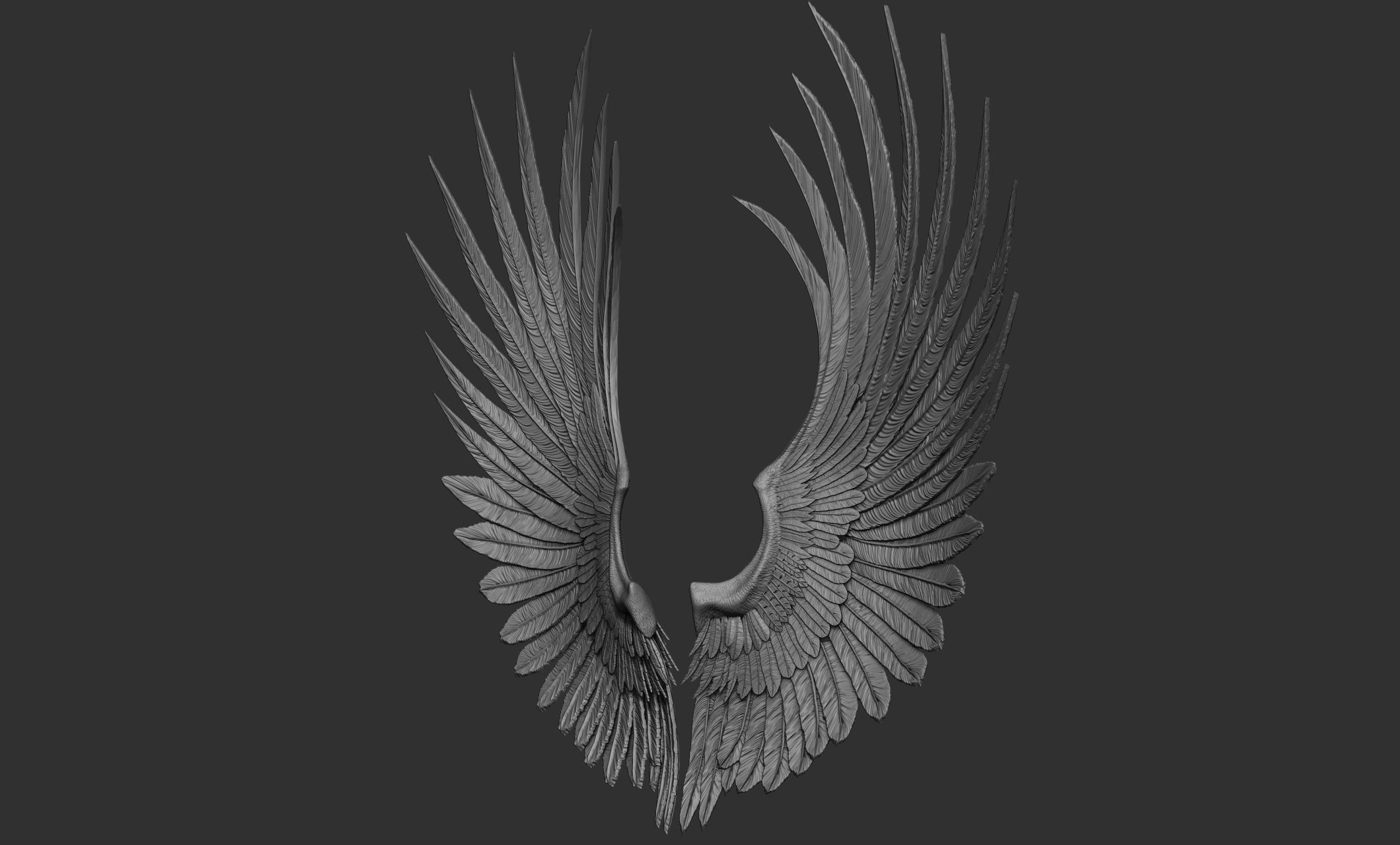 10 Wings 3D model_47