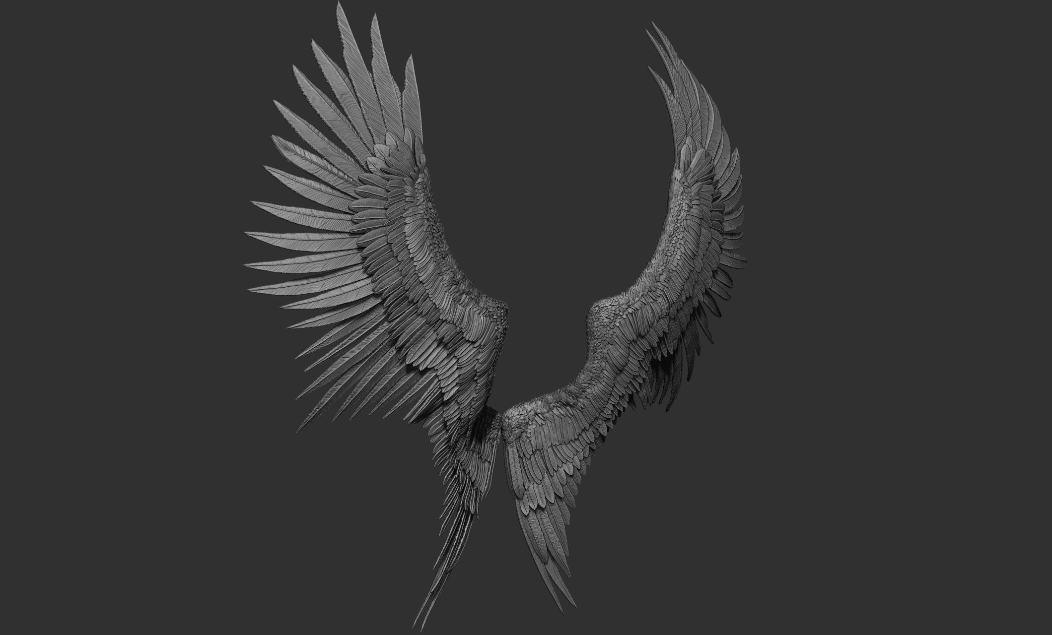 10 Wings 3D model_29