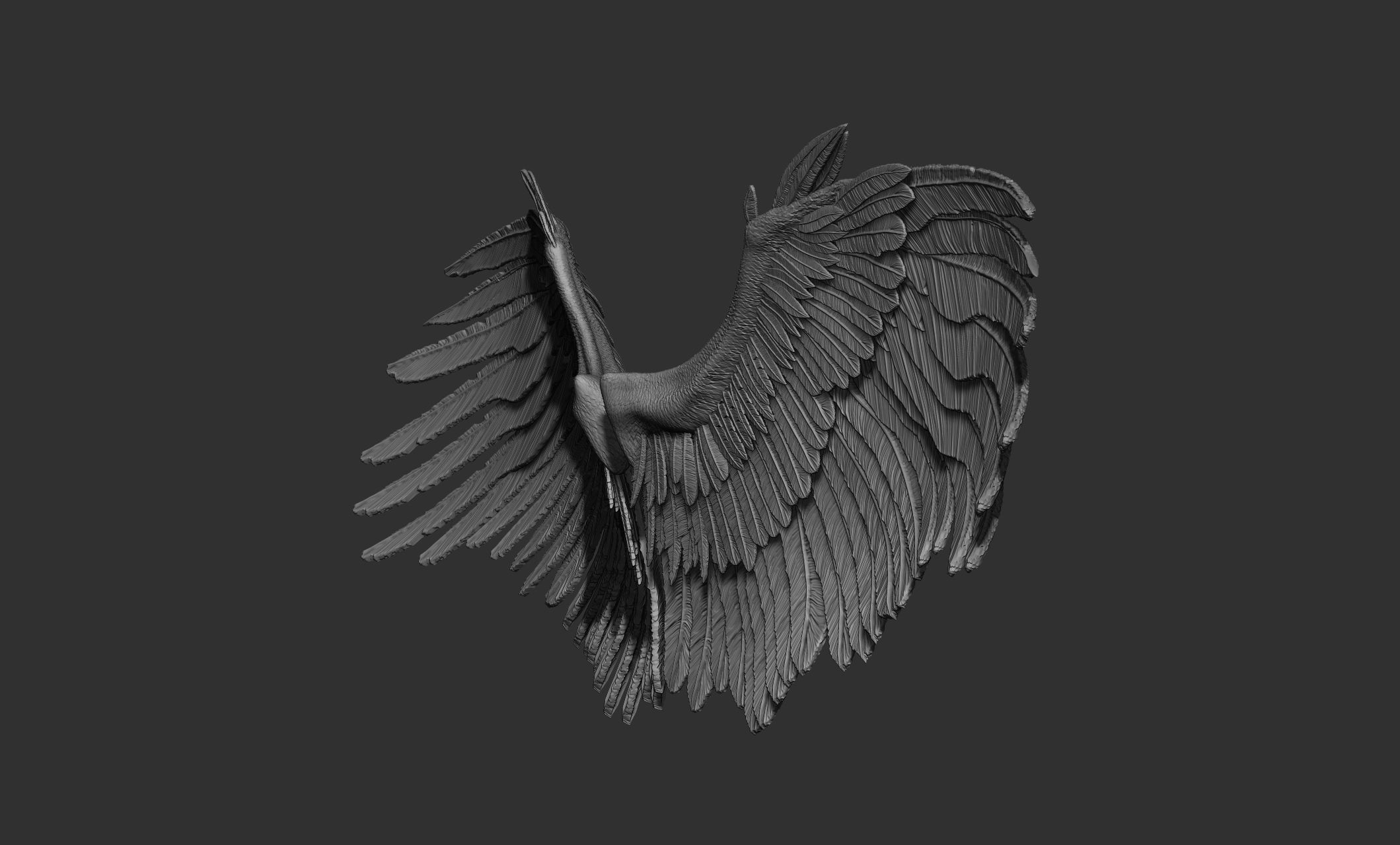 10 Wings 3D model_10