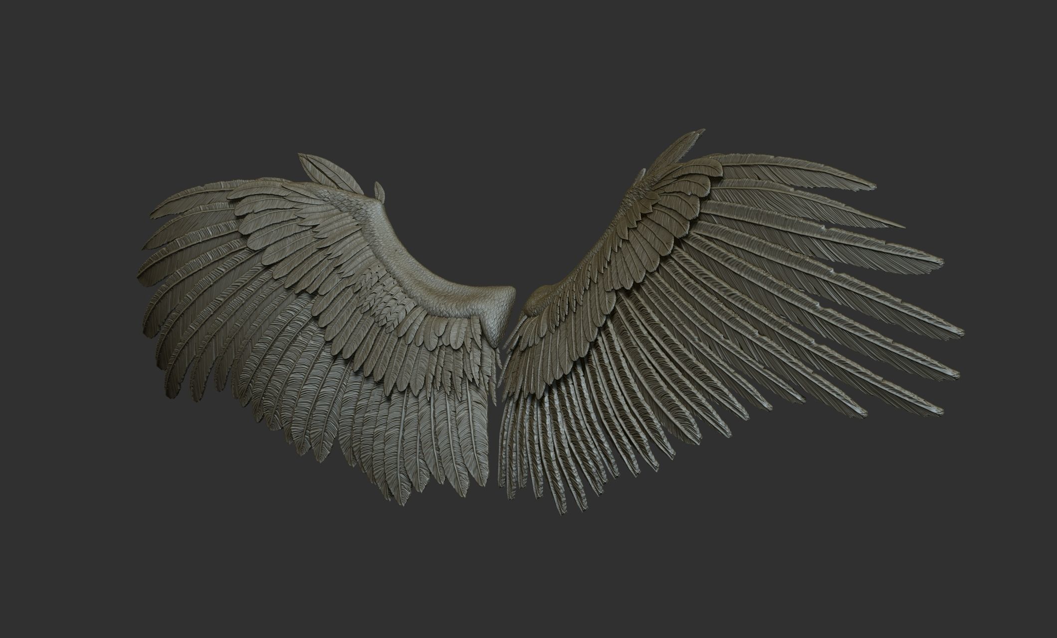 10 Wings 3D model_13