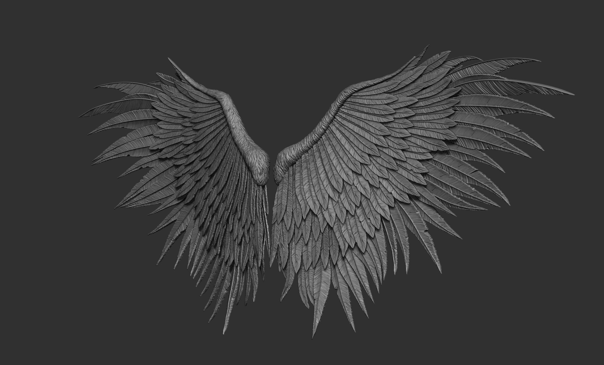 10 Wings 3D model_54
