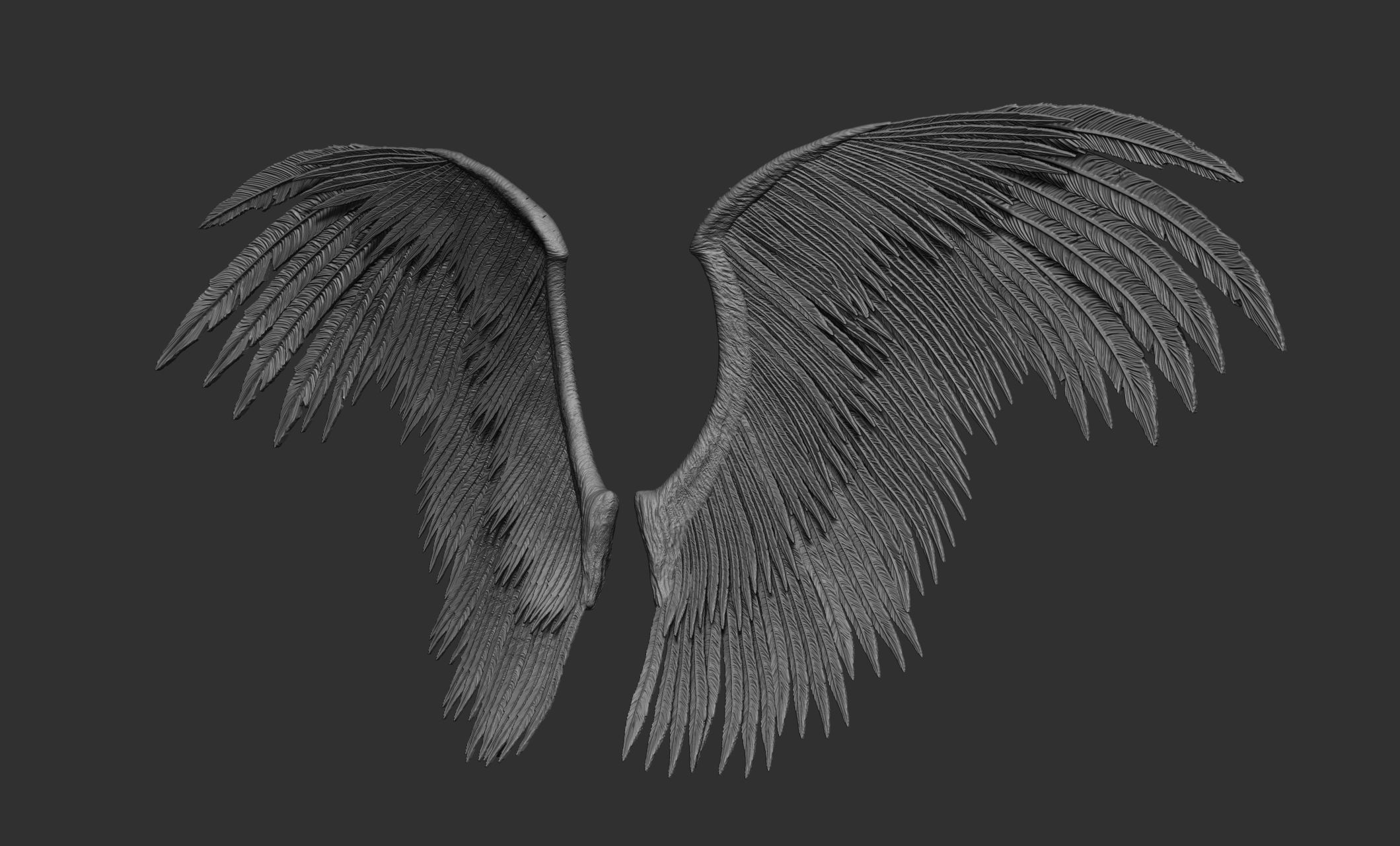 10 Wings 3D model_61